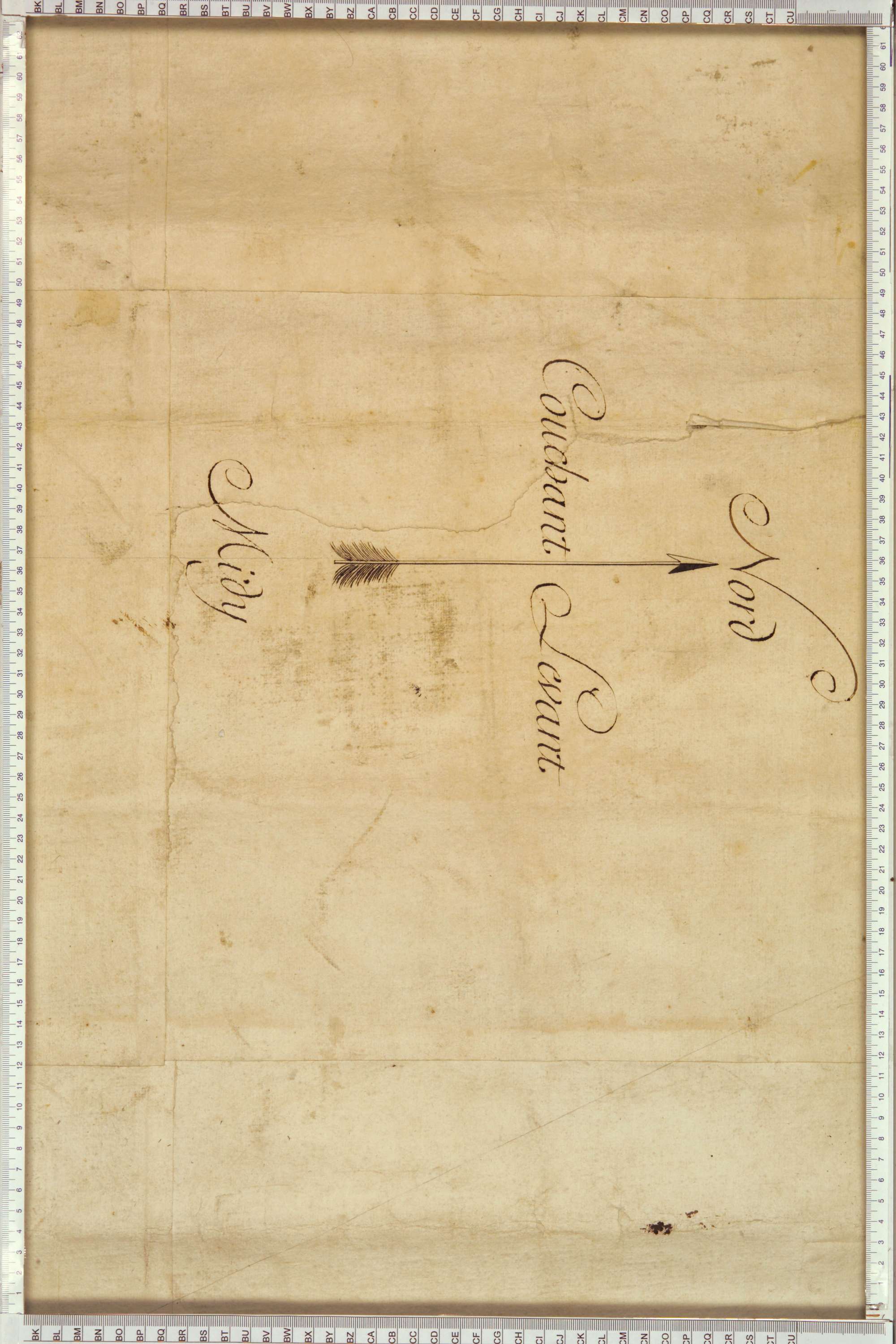 Montricher-Albanne - Copie de la mappe originale (plan cadastral) de la commune d’Albane. Signée Cocelli, directeur du bureau de la péréquation.