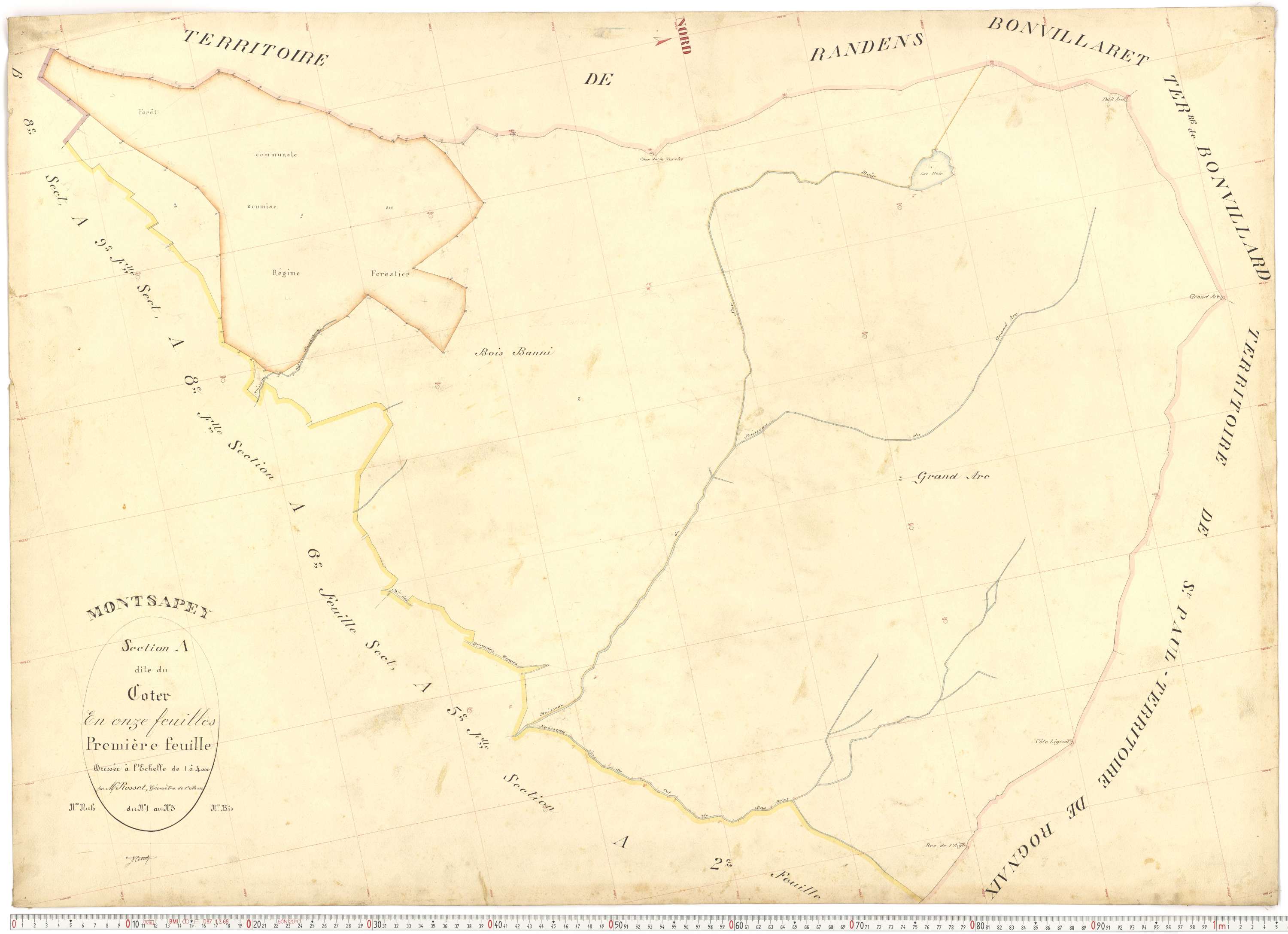 Montsapey - Plans cadastraux du premier cadastre français.