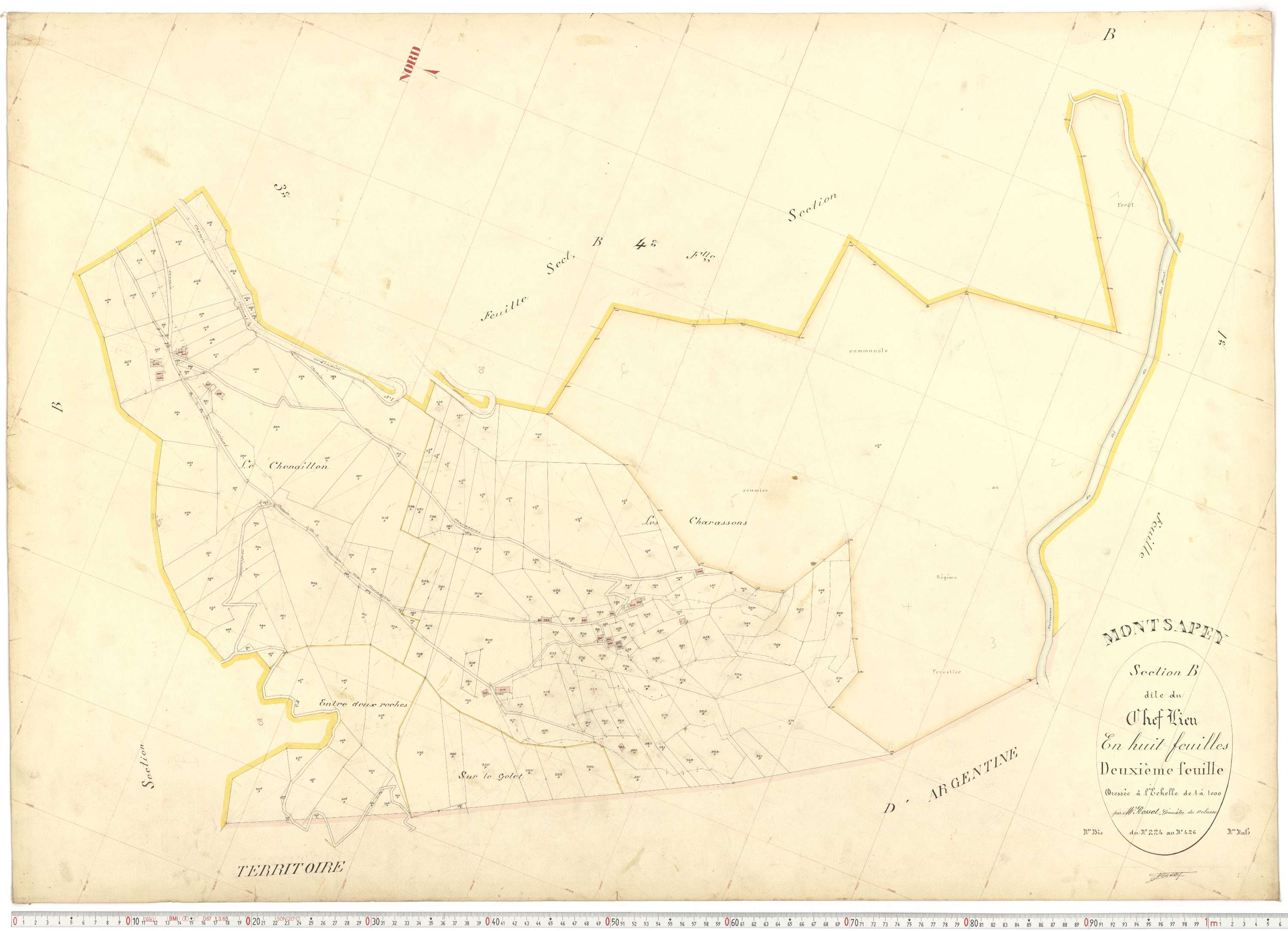 Montsapey - Plans cadastraux du premier cadastre français.