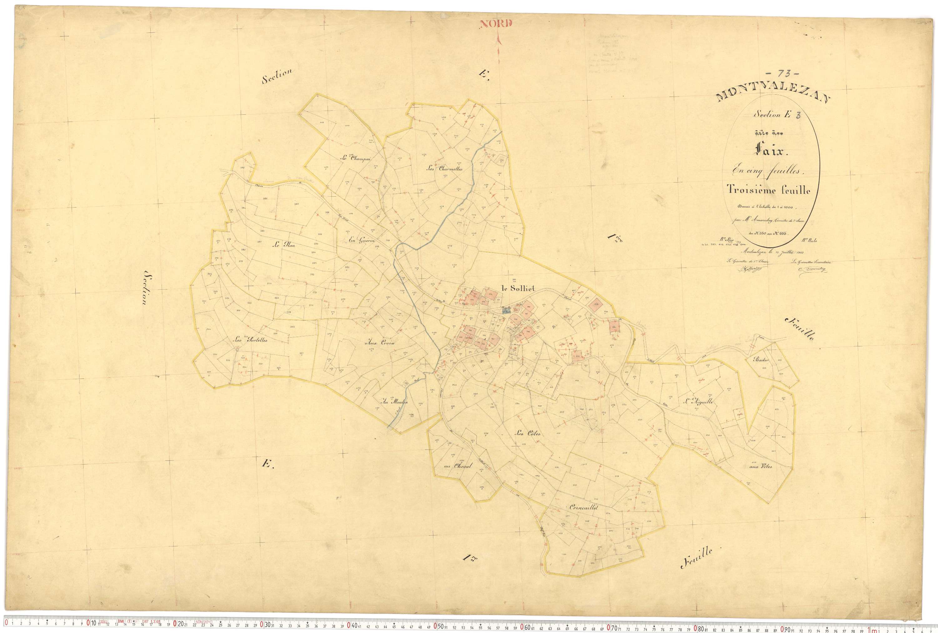 Montvalezan - Plans cadastraux du premier cadastre français.
