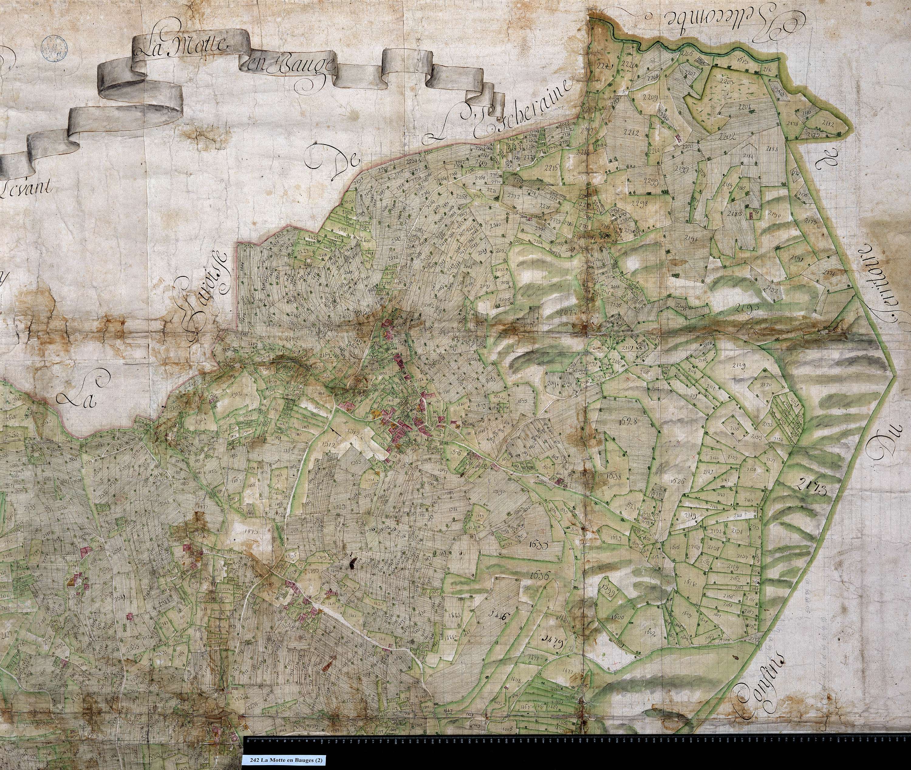 La Motte-en-Bauges - Copie de la mappe originale (plan cadastral) de la commune de La Motte-en-Beauges. Signée Cocelli, directeur de la péréquation générale.