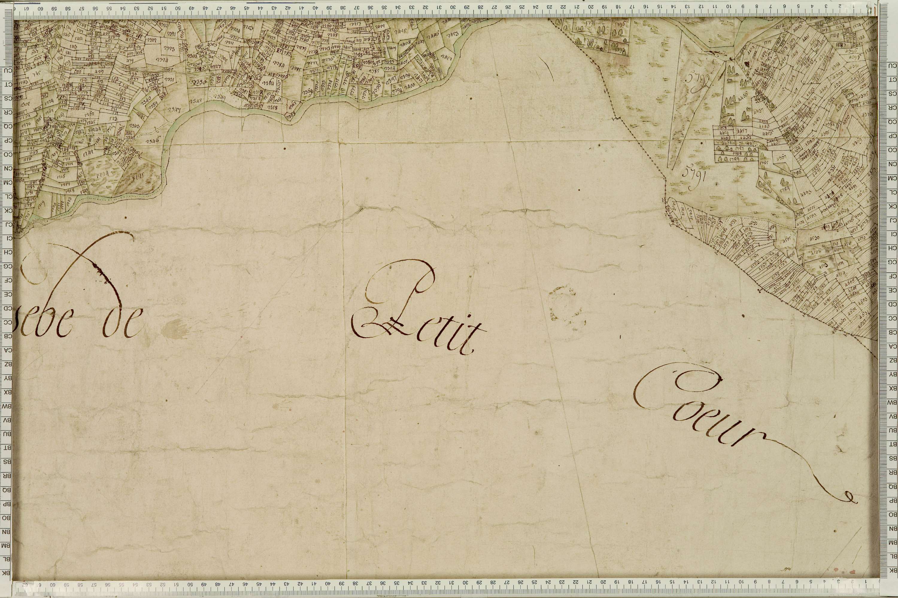 La Léchère - Copie de la mappe originale (plan cadastral) de la commune de Naves. Signée Cocelli, directeur de la péréquation générale.