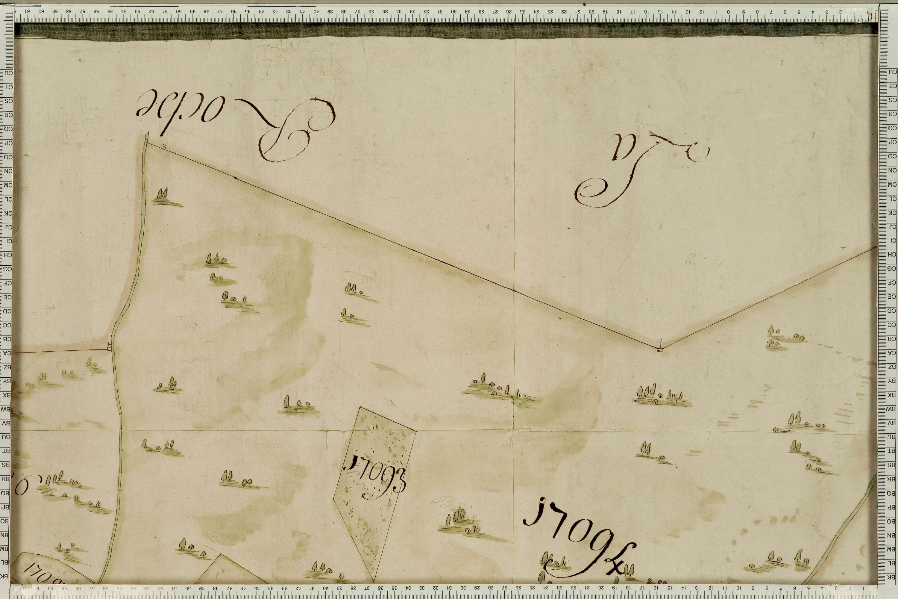 La Léchère - Copie de la mappe originale (plan cadastral) de la commune de Naves. Signée Cocelli, directeur de la péréquation générale.