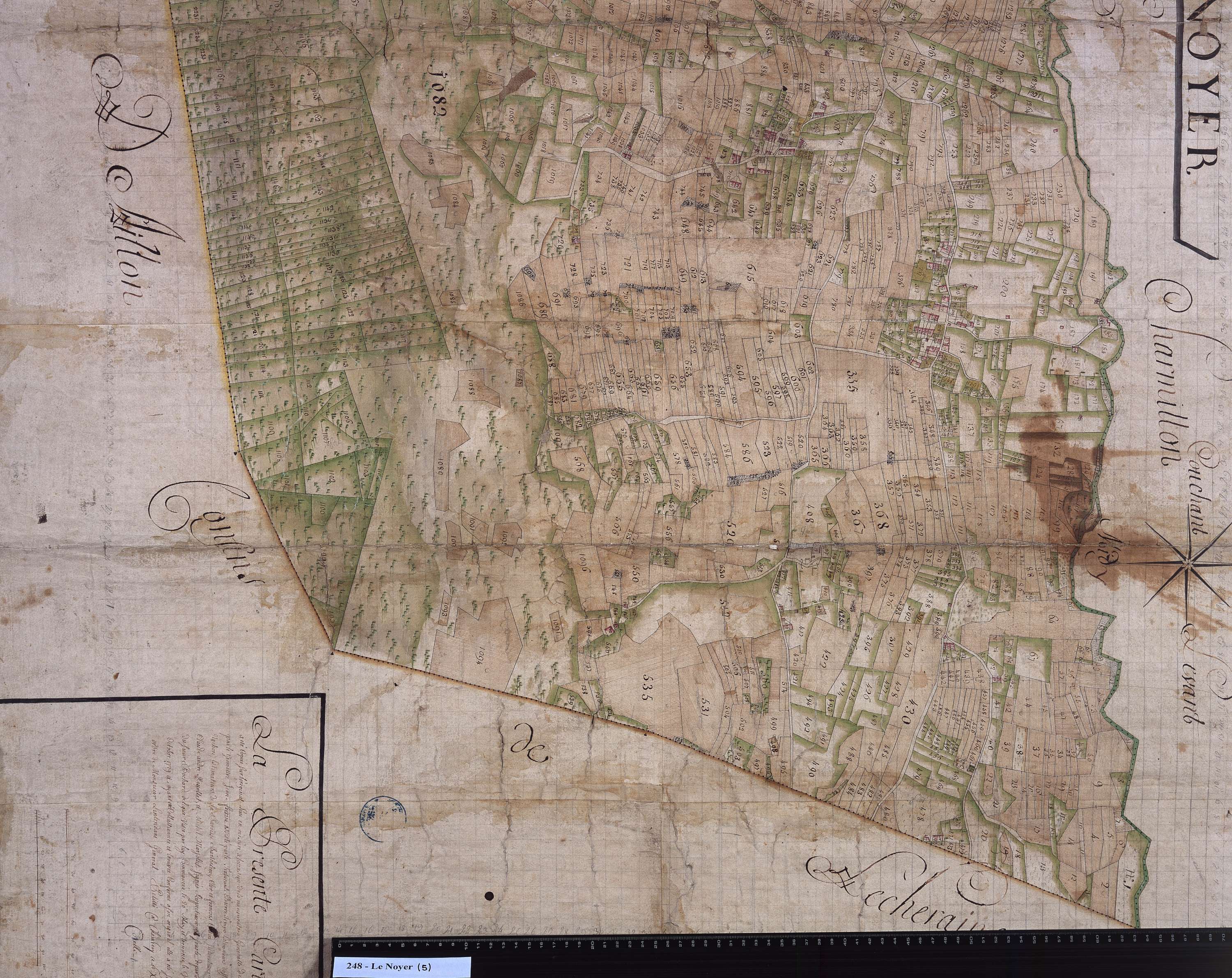 Le Noyer - 248.5.jpg