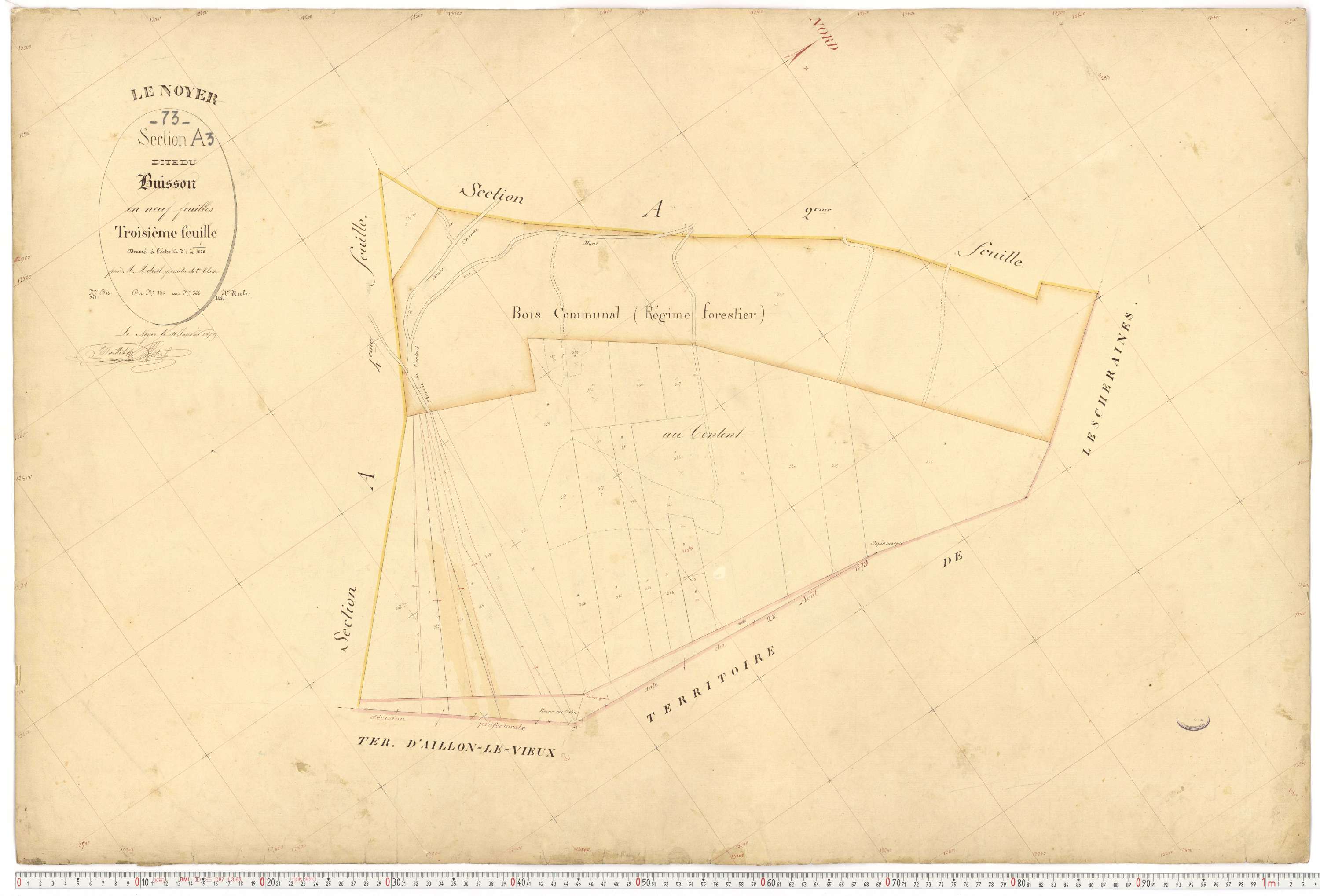 Le Noyer - Cadastre français (1879).