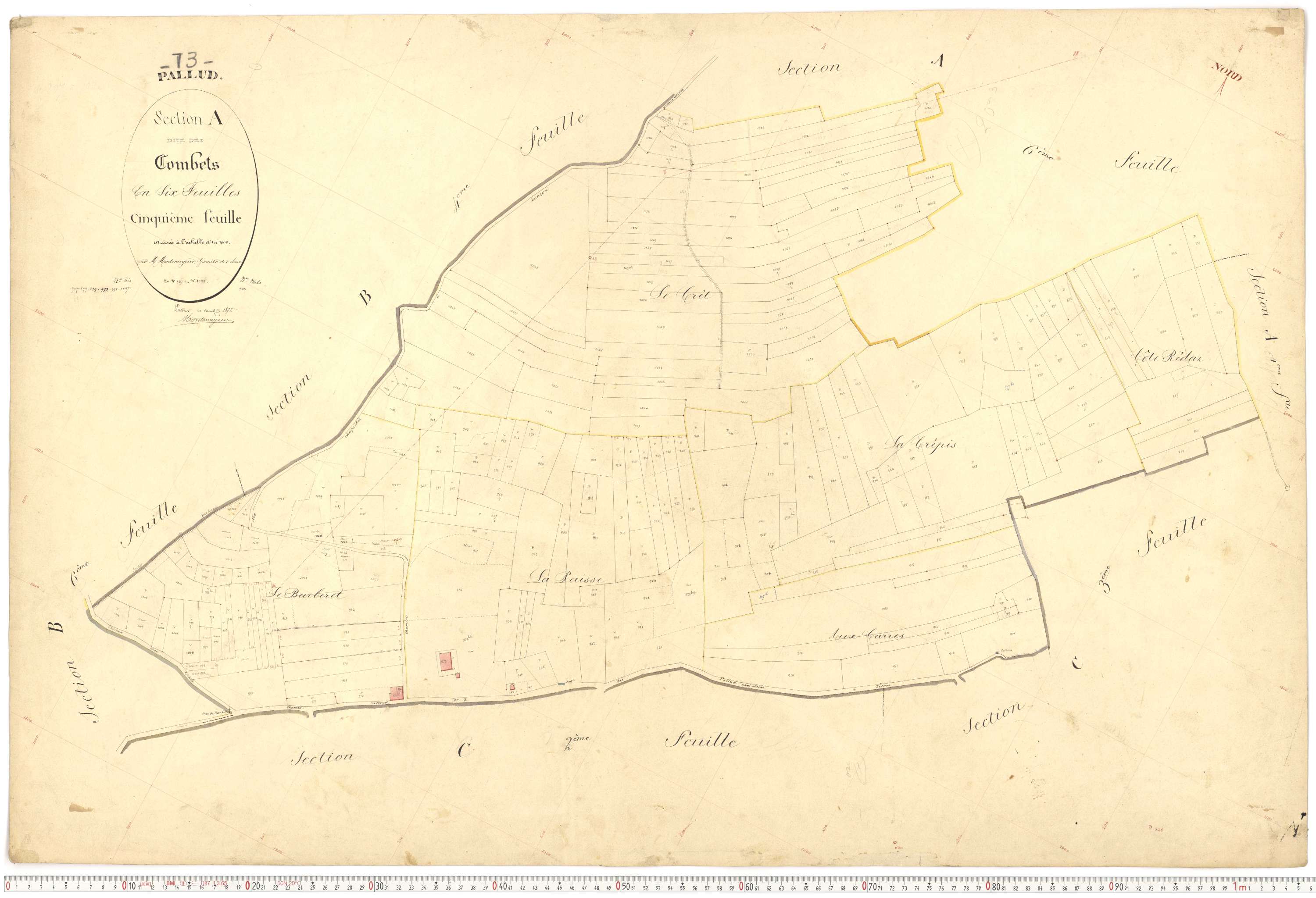 Pallud - Plans cadastraux du premier cadastre français.