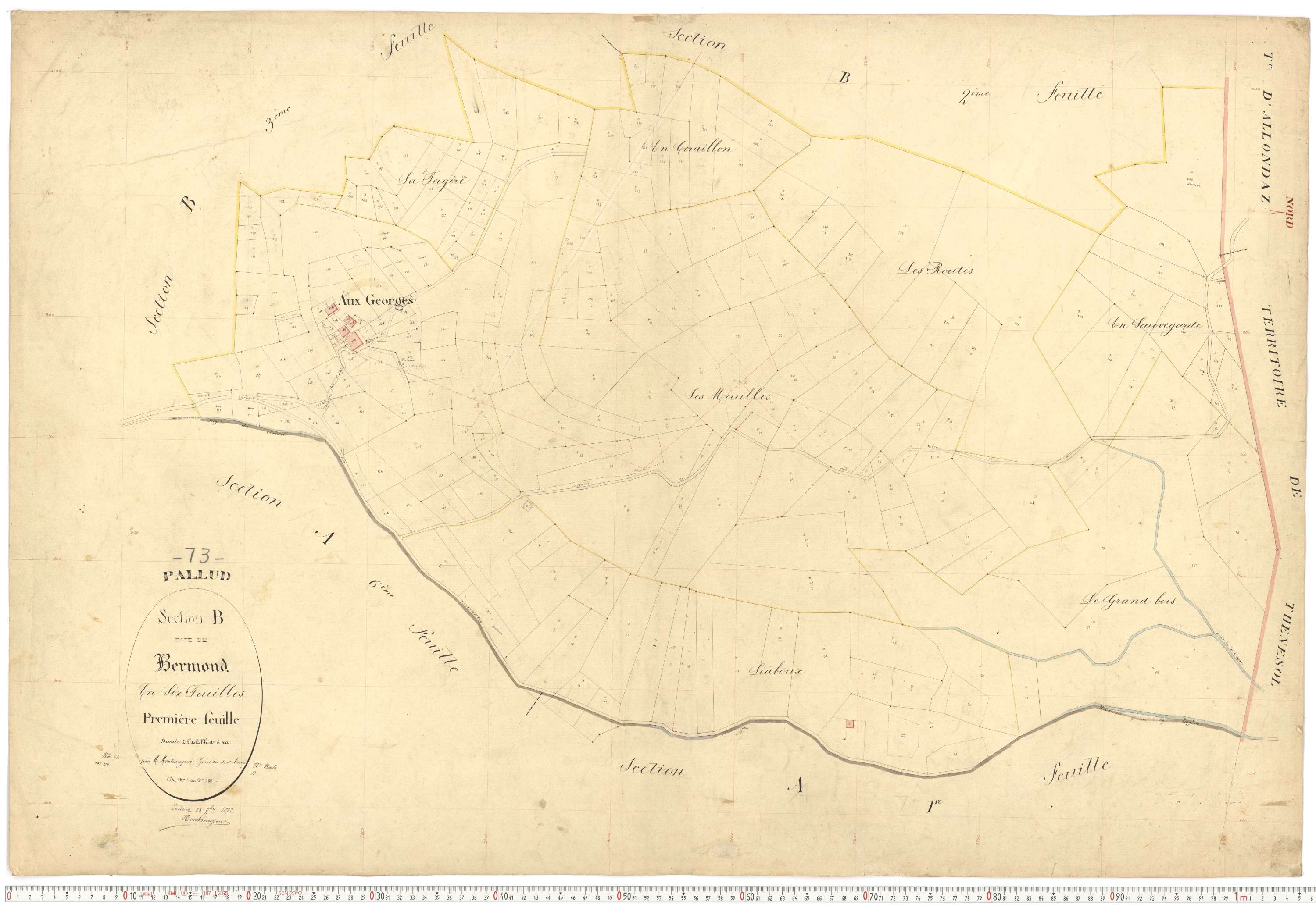 Pallud - Plans cadastraux du premier cadastre français.