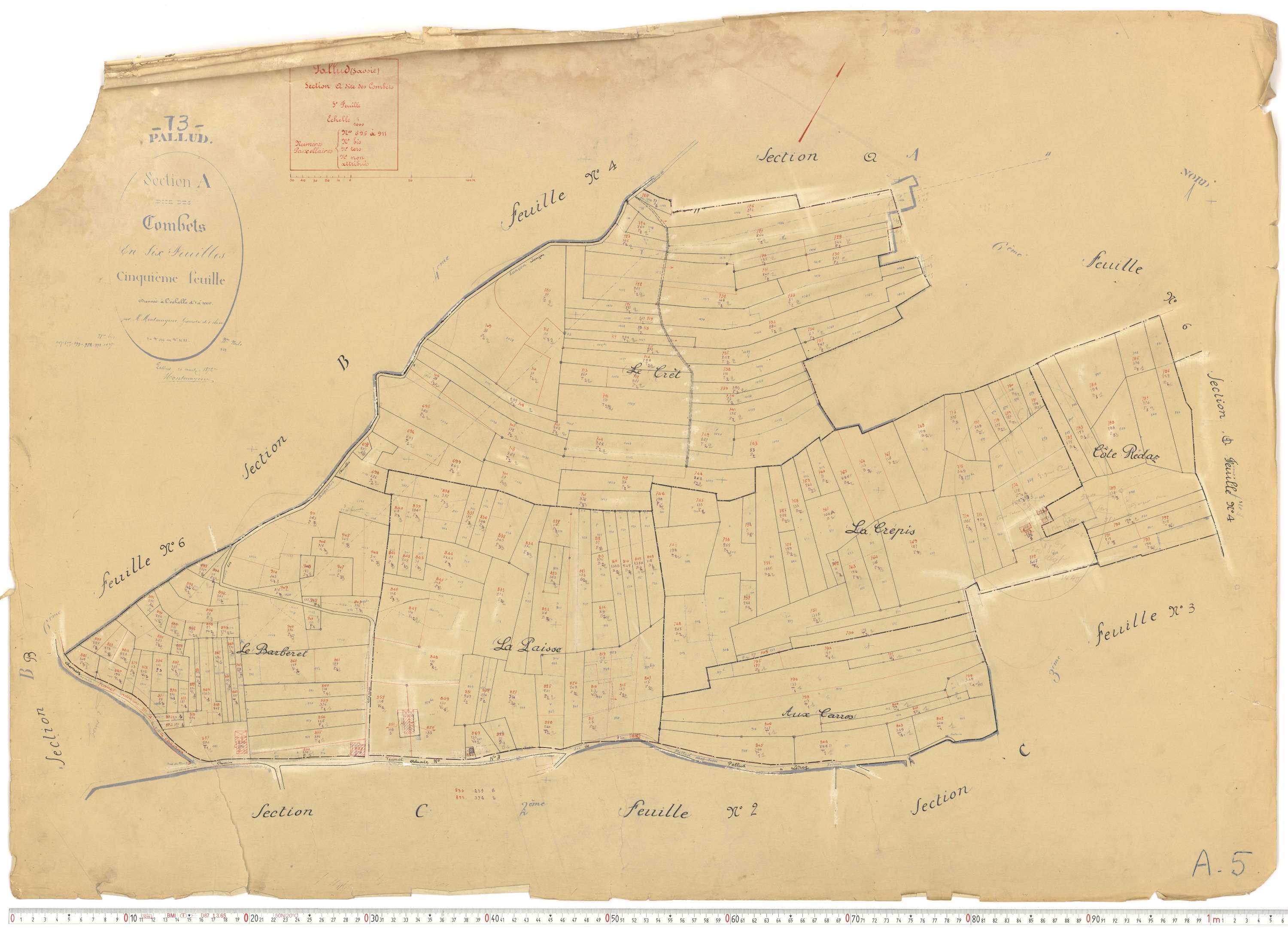 Pallud - Plans cadastraux du cadastre rénové.