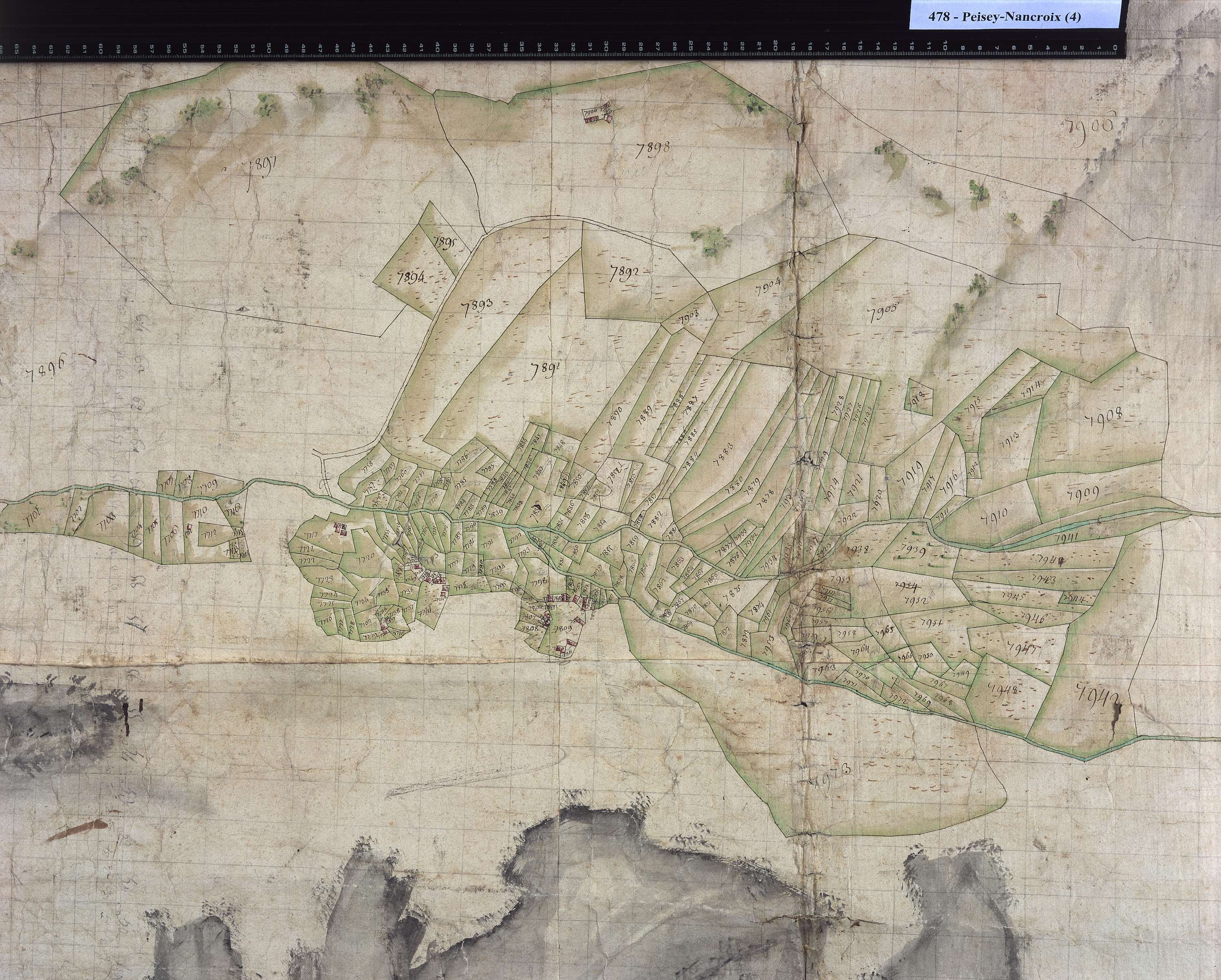Peisey-Nancroix - Copie de la mappe originale (plan cadastral) de la commune de Pesey. Signée Cocelli, directeur de la péréquation.
