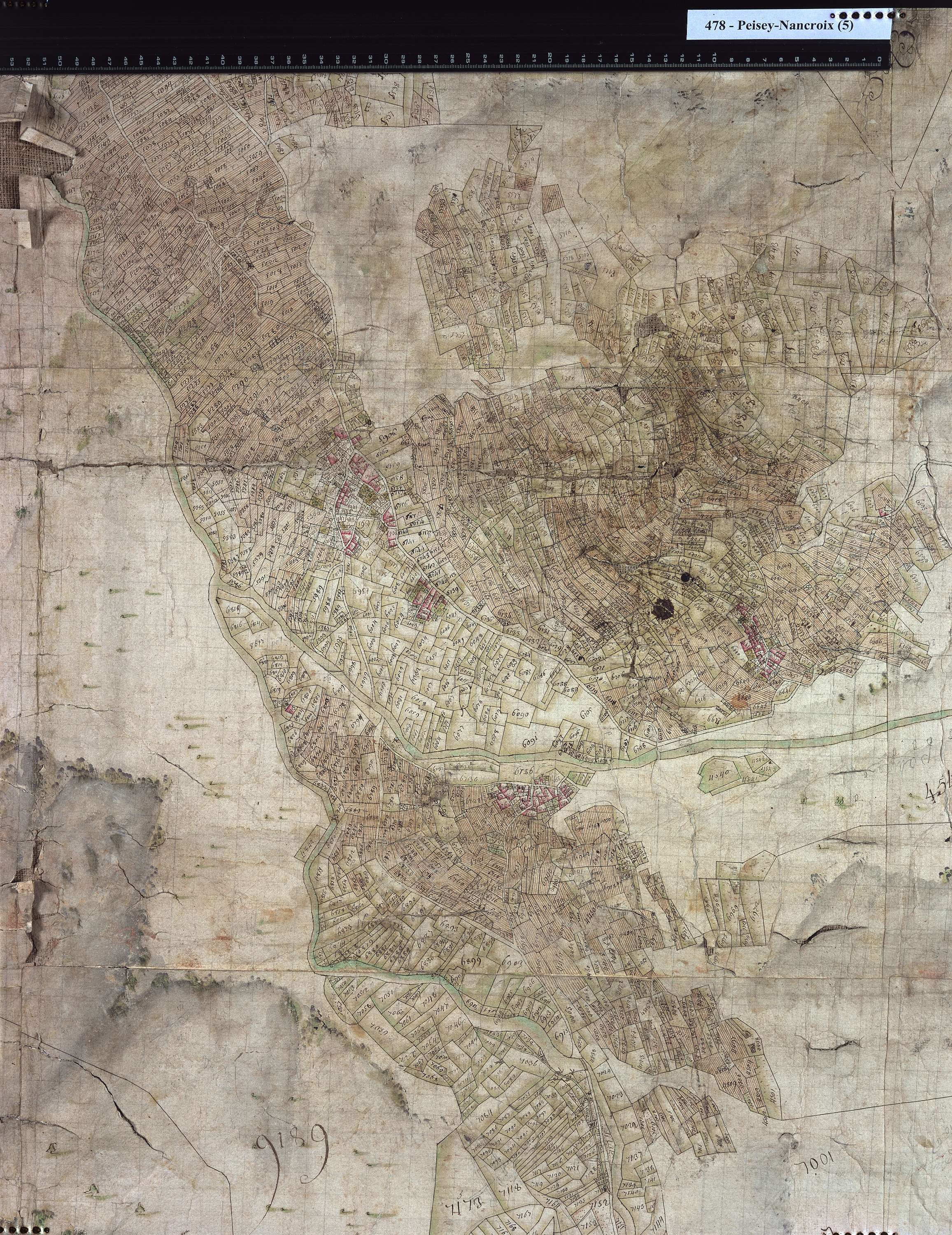 Peisey-Nancroix - Copie de la mappe originale (plan cadastral) de la commune de Pesey. Signée Cocelli, directeur de la péréquation.