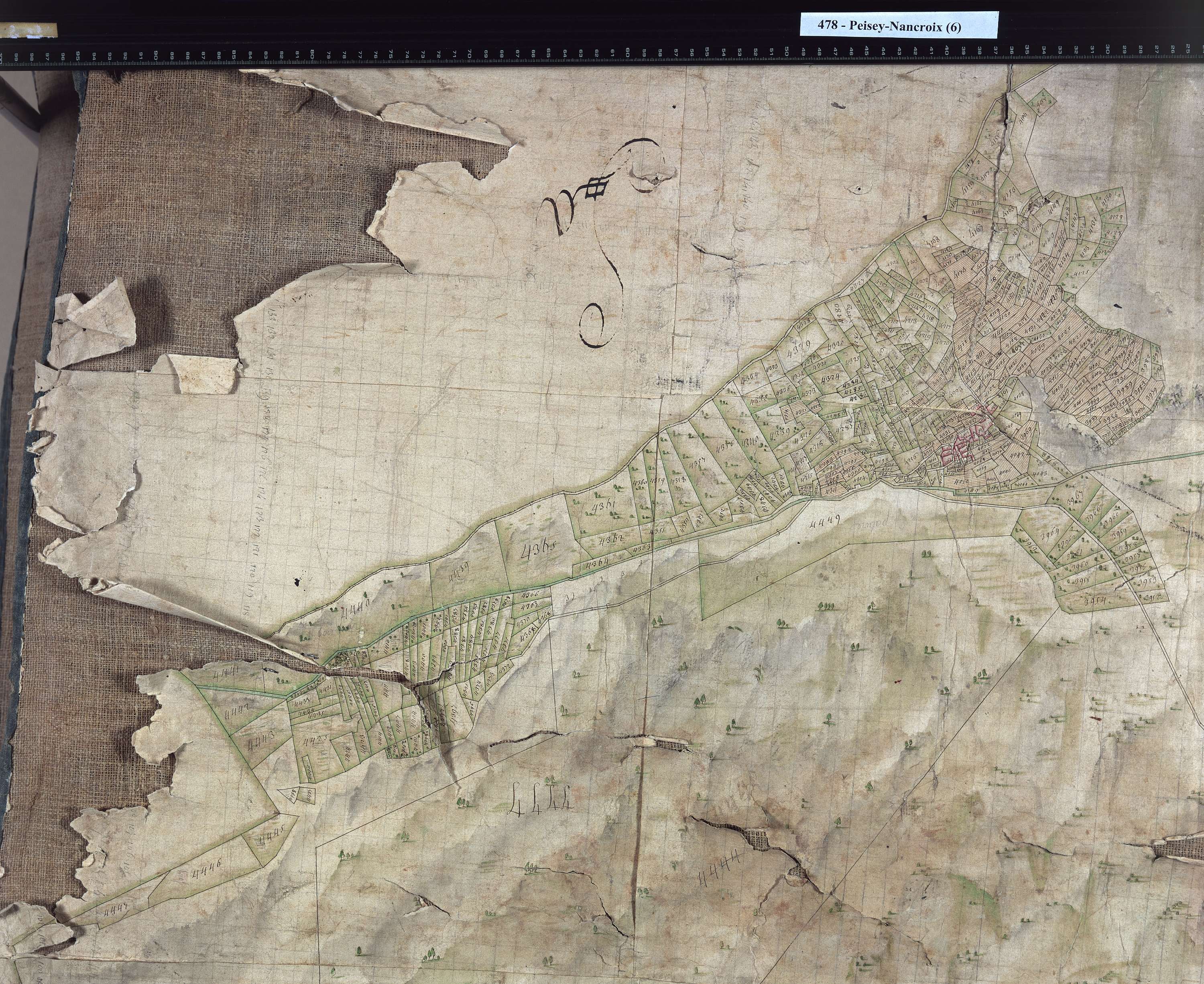 Peisey-Nancroix - Copie de la mappe originale (plan cadastral) de la commune de Pesey. Signée Cocelli, directeur de la péréquation.
