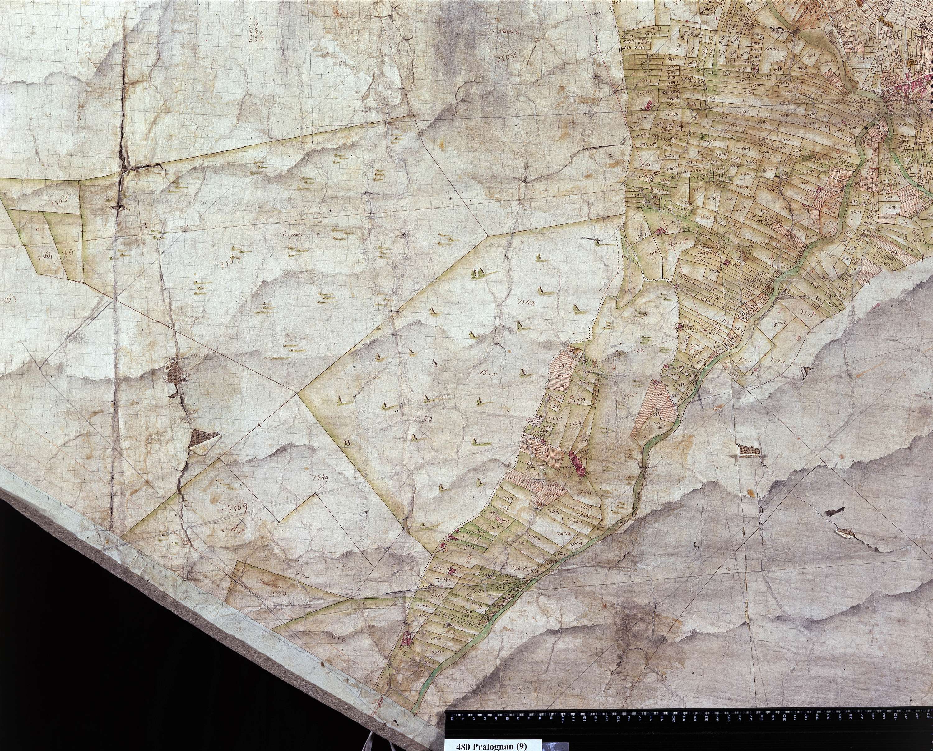 Planay - Copie de la mappe originale (plan cadastral) de la commune de Pralognan-Planey. Signée Cocelli, directeur de la péréquation.