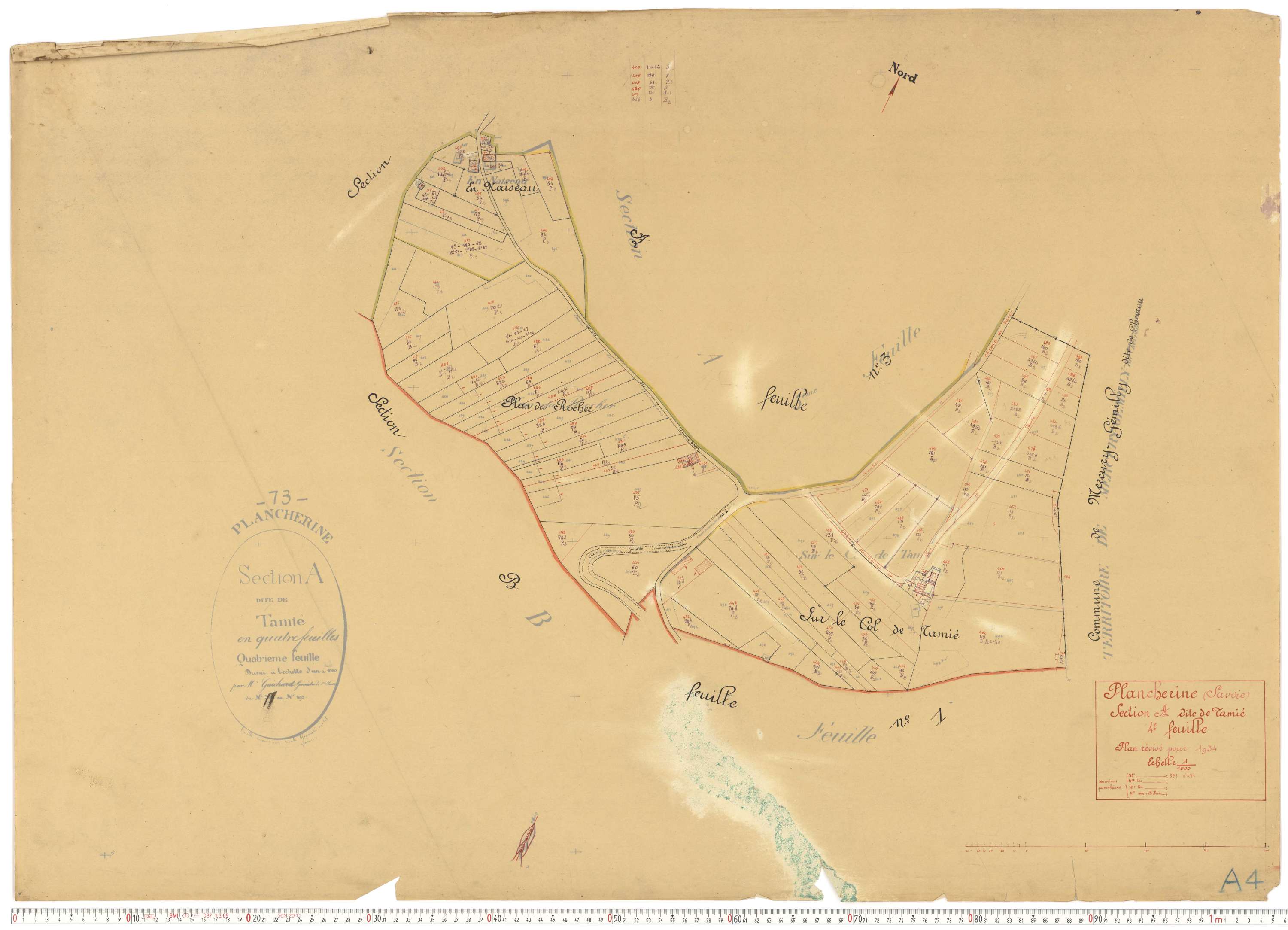 Plancherine - Plans cadastraux du cadastre rénové.