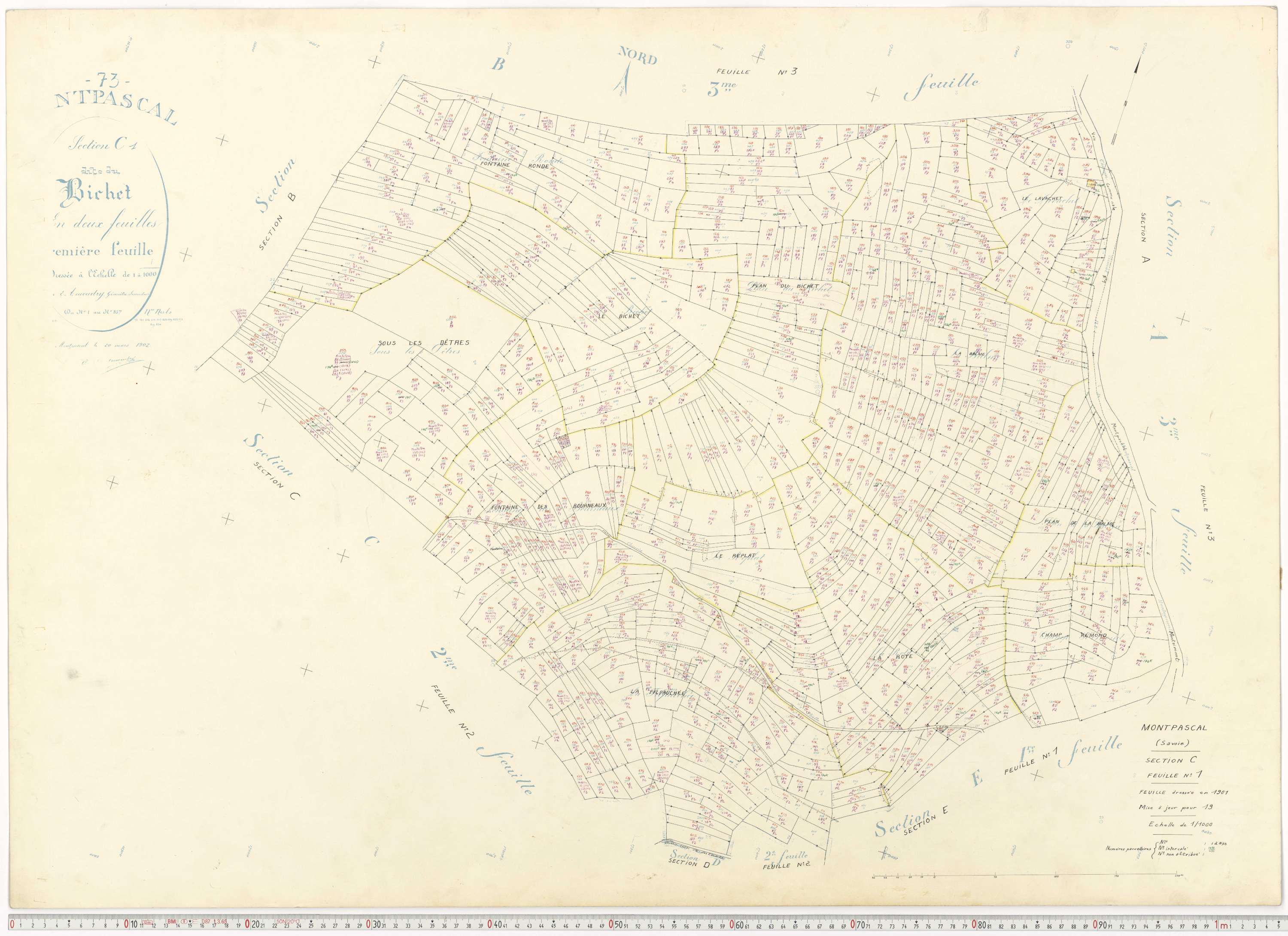 Pontamafrey-Montpascal - Plans cadastraux du cadastre rénové.
