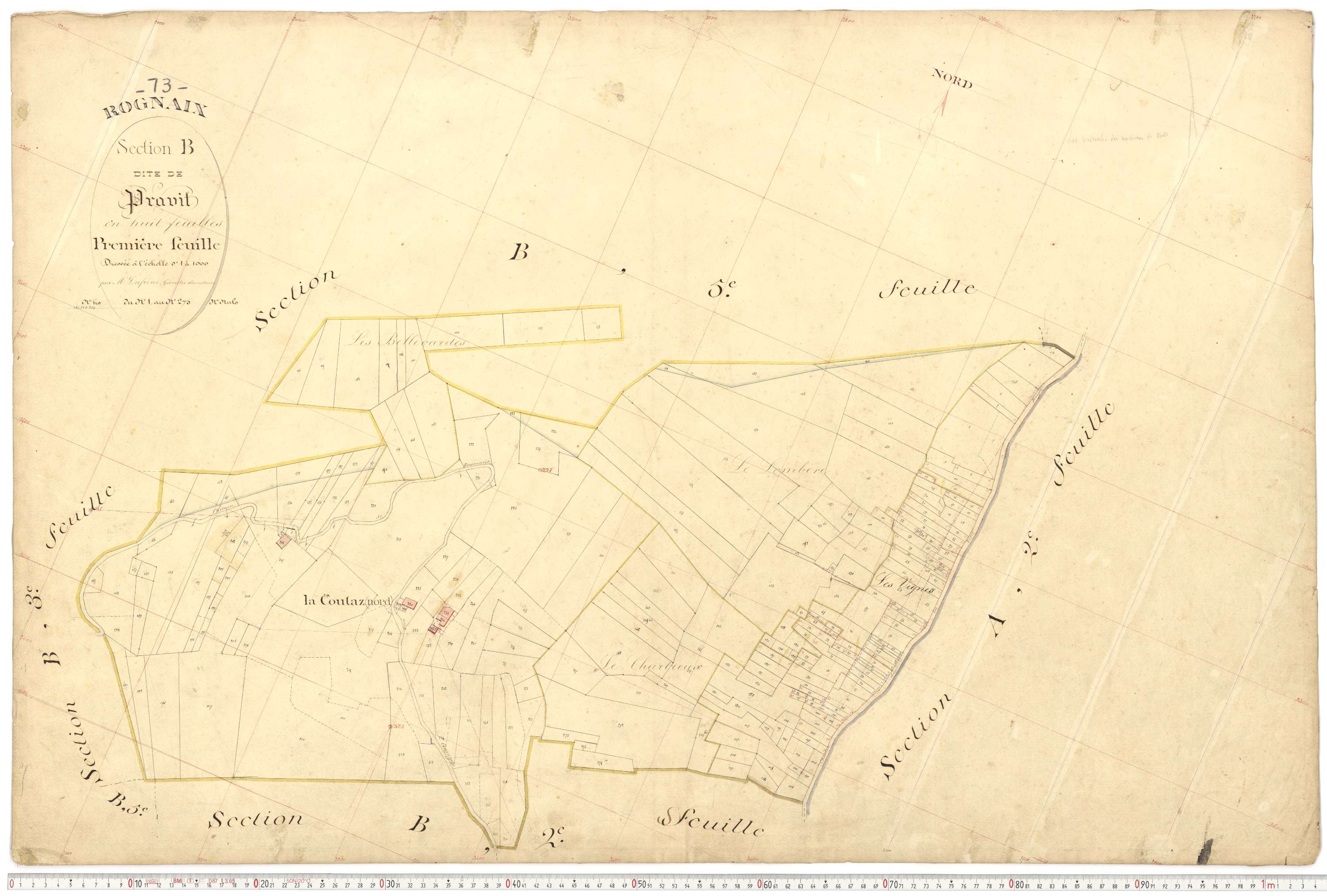 Rognaix - Plans cadastraux du premier cadastre français.