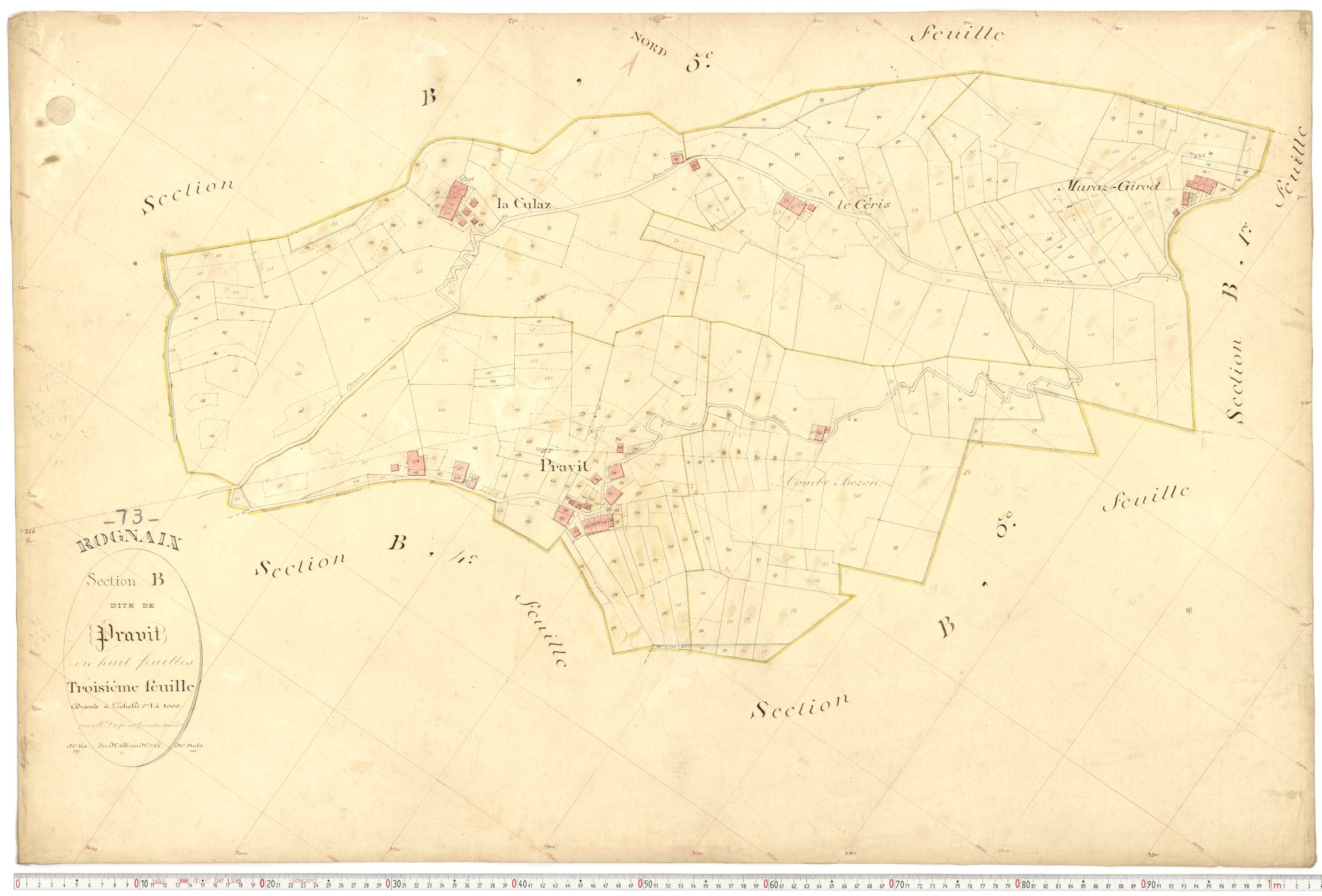 Rognaix - Plans cadastraux du premier cadastre français.