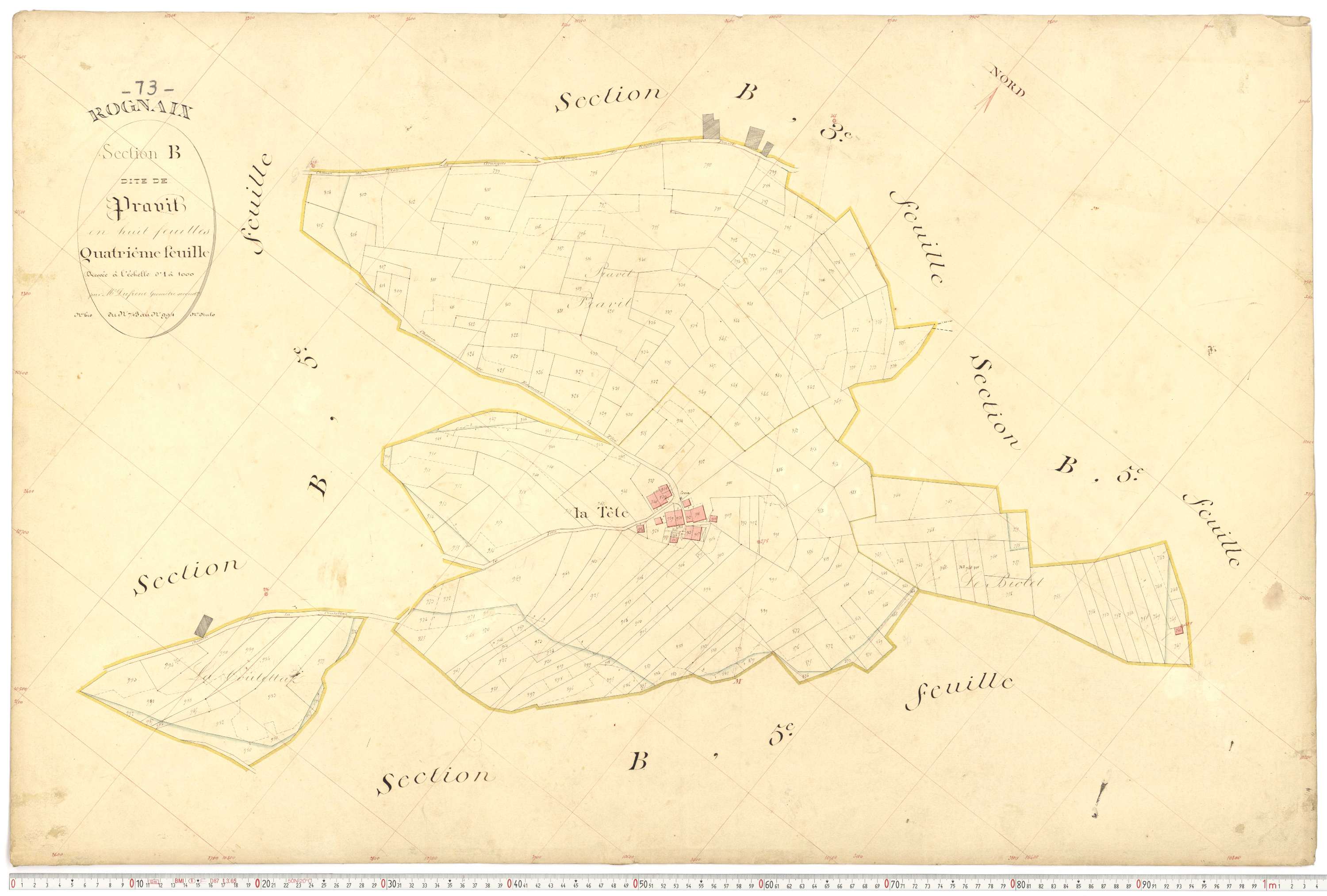 Rognaix - Plans cadastraux du premier cadastre français.
