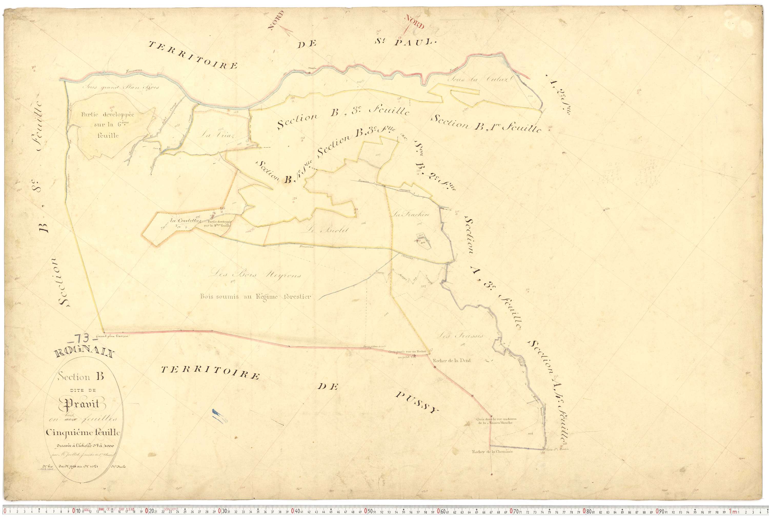 Rognaix - Plans cadastraux du premier cadastre français.