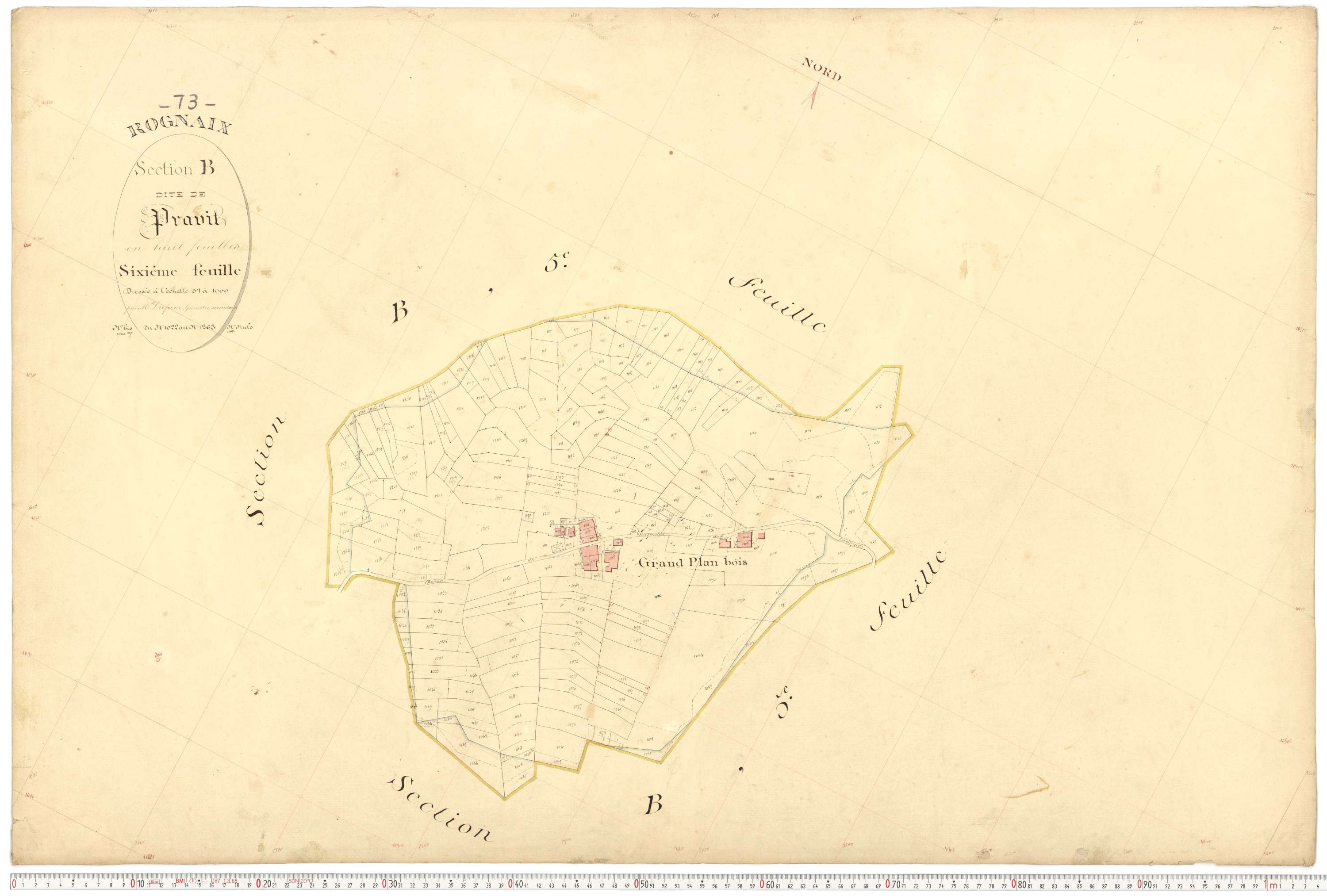 Rognaix - Plans cadastraux du premier cadastre français.