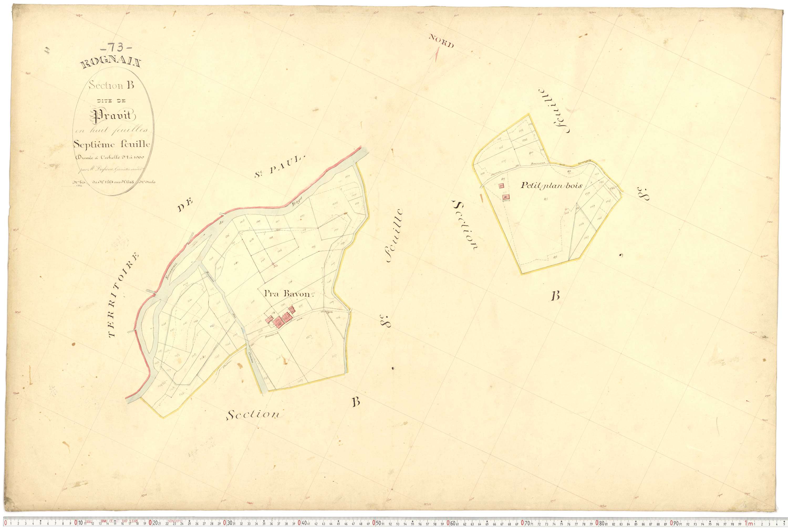 Rognaix - Plans cadastraux du premier cadastre français.
