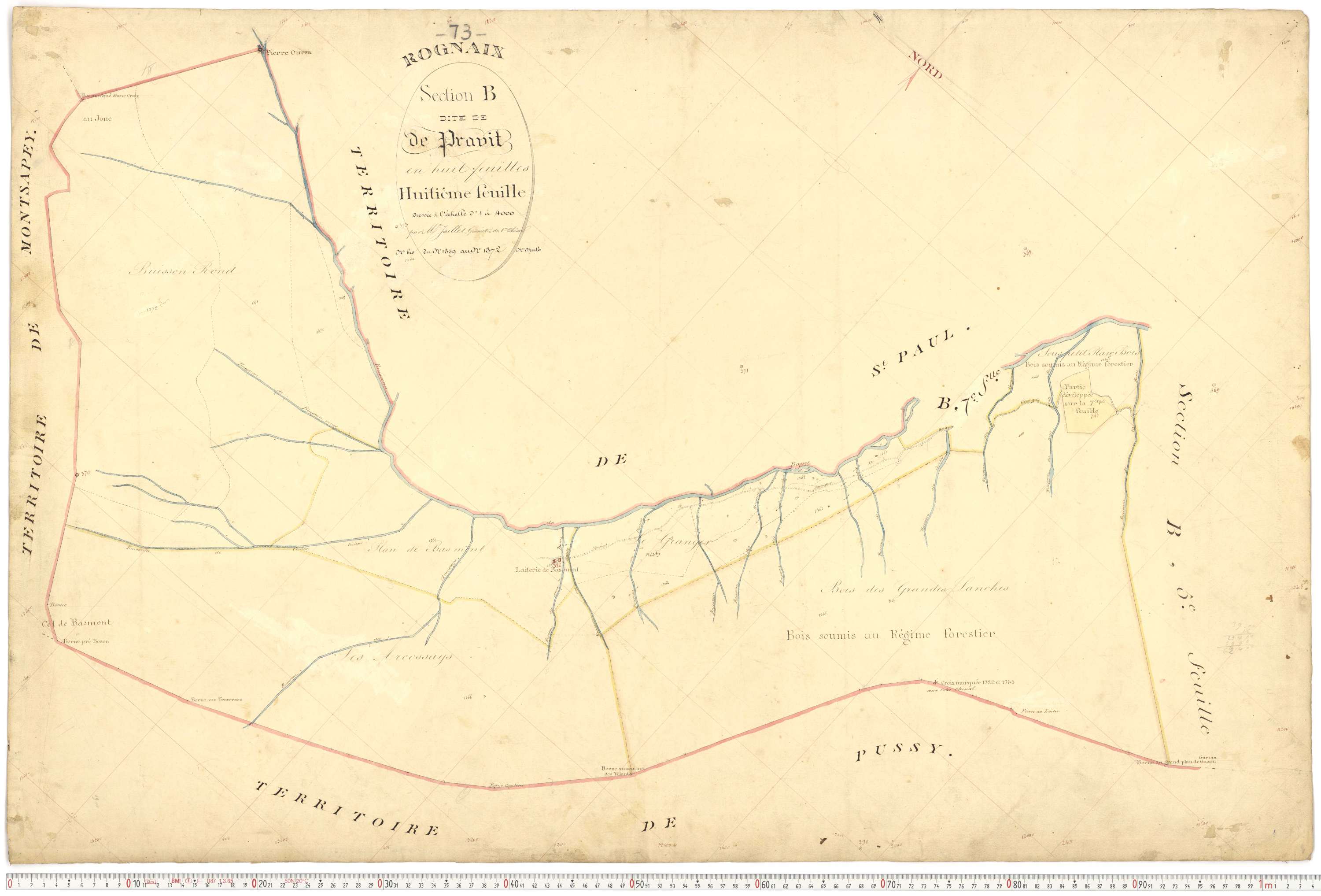 Rognaix - Plans cadastraux du premier cadastre français.