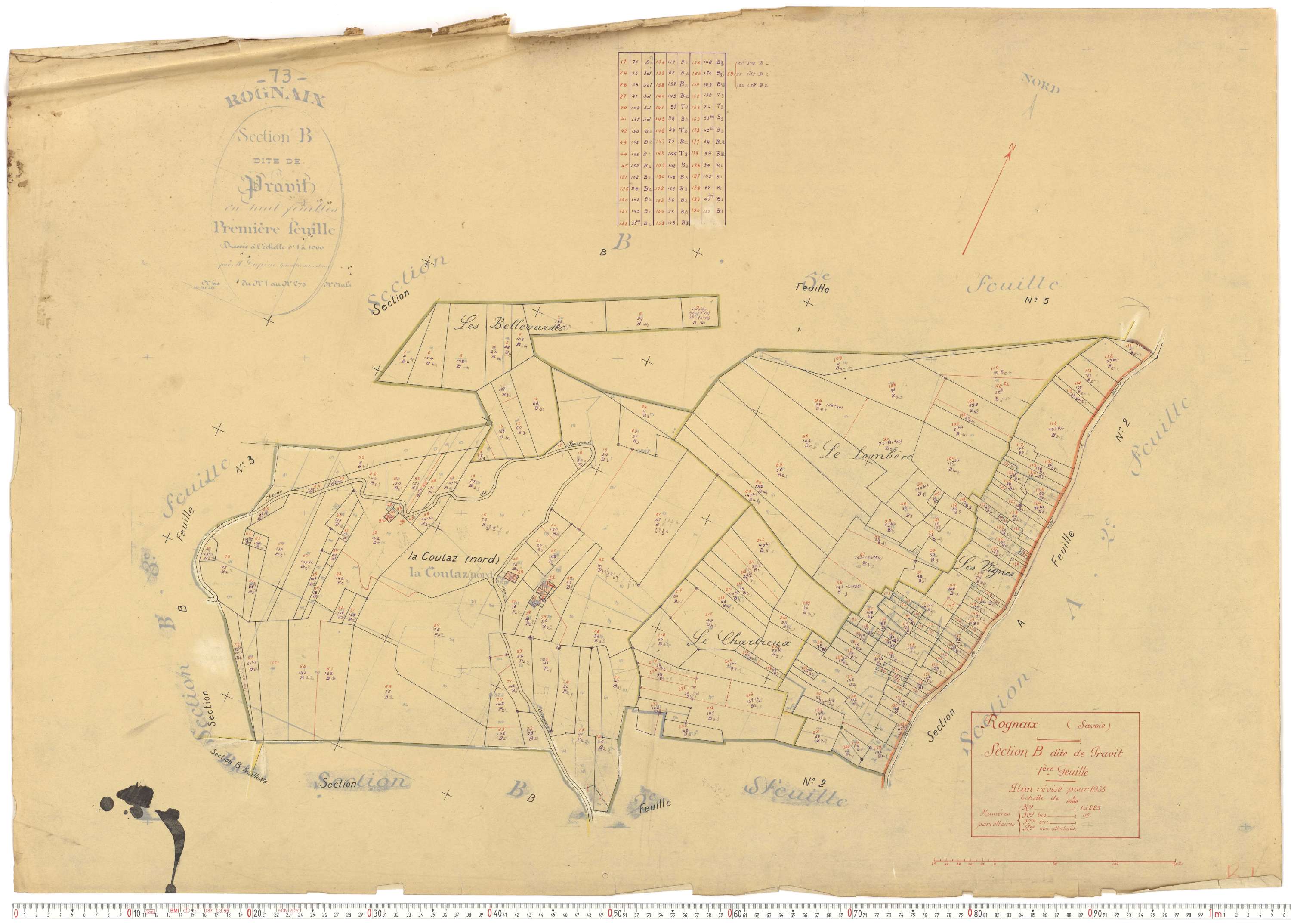 Rognaix - Plans cadastraux du cadastre rénové.