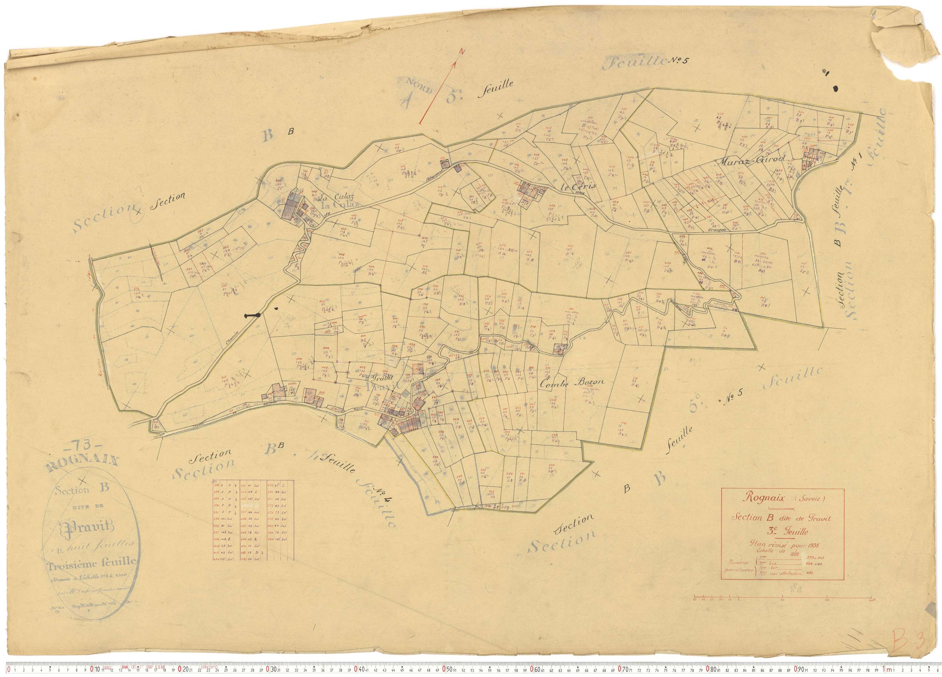 Rognaix - Plans cadastraux du cadastre rénové.