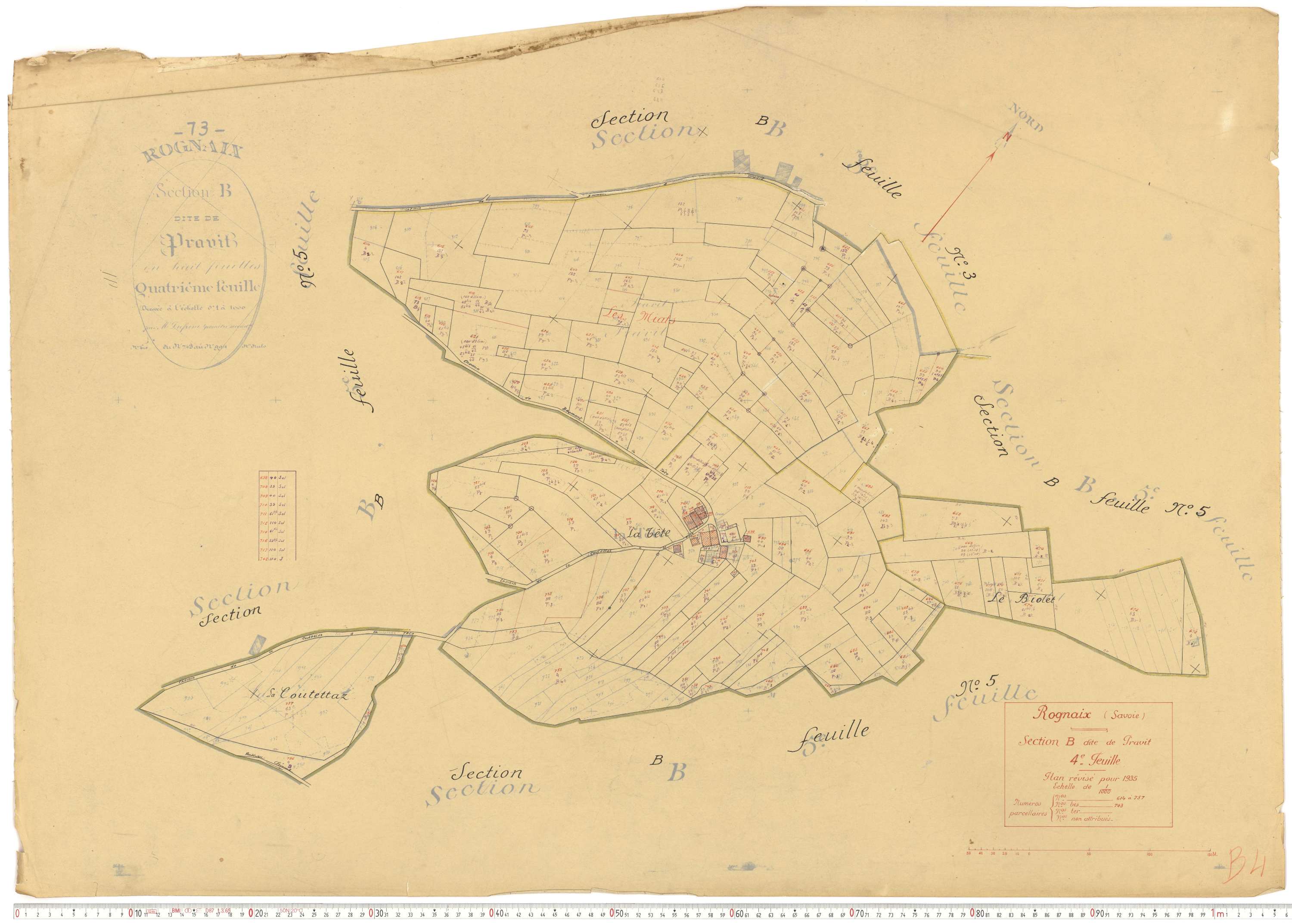 Rognaix - Plans cadastraux du cadastre rénové.
