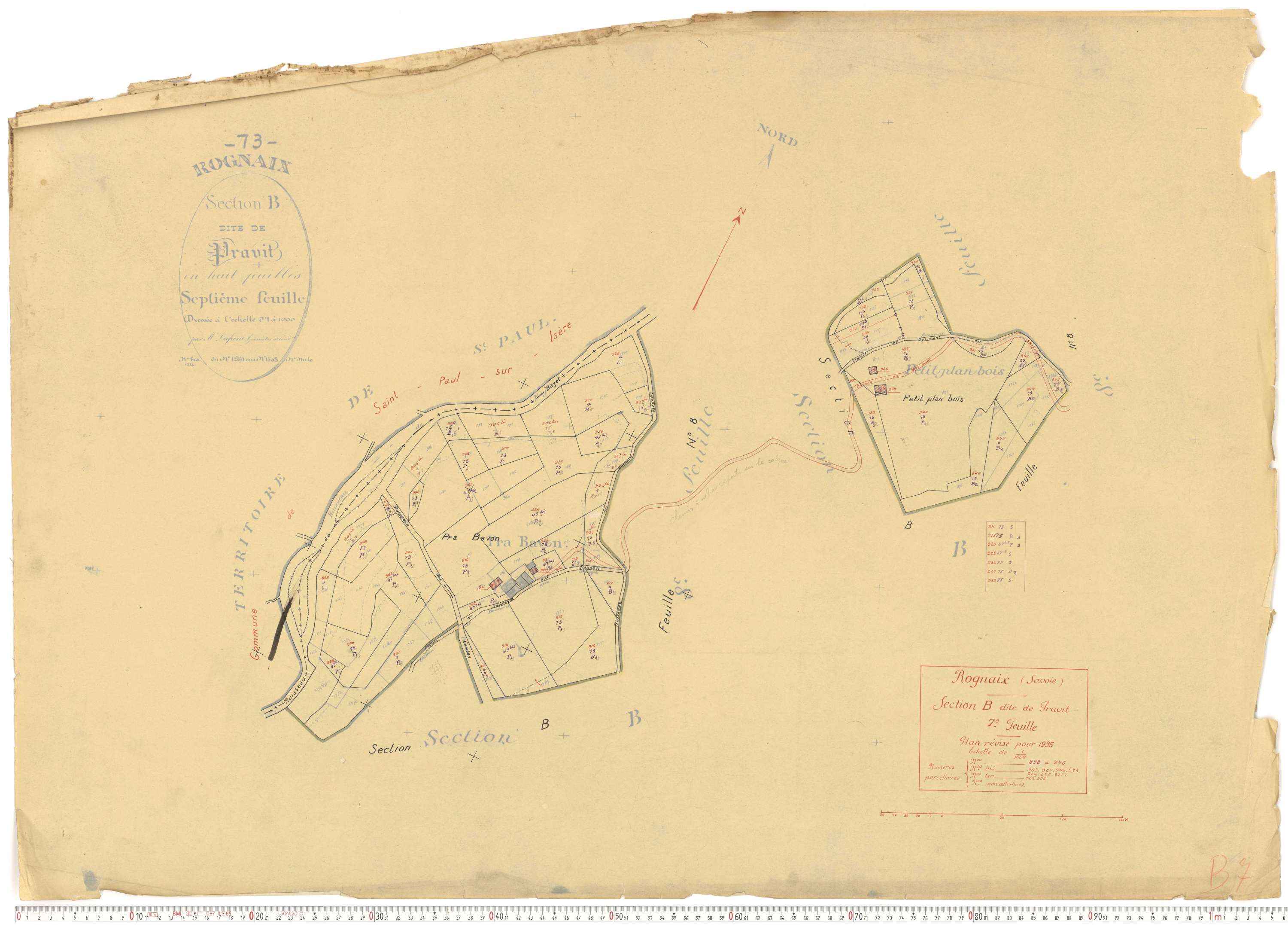 Rognaix - Plans cadastraux du cadastre rénové.