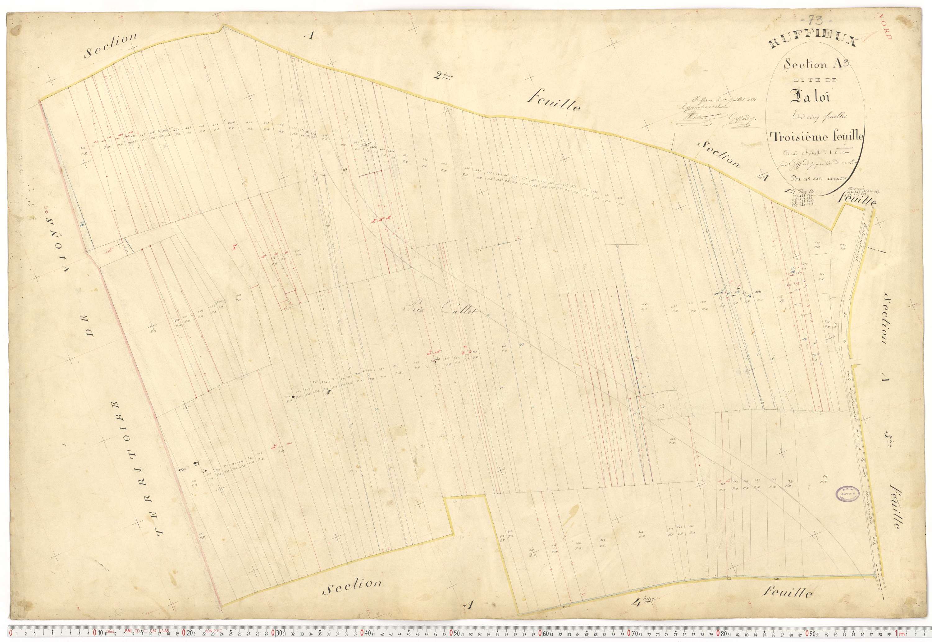 Ruffieux - Cadastre français (1881).