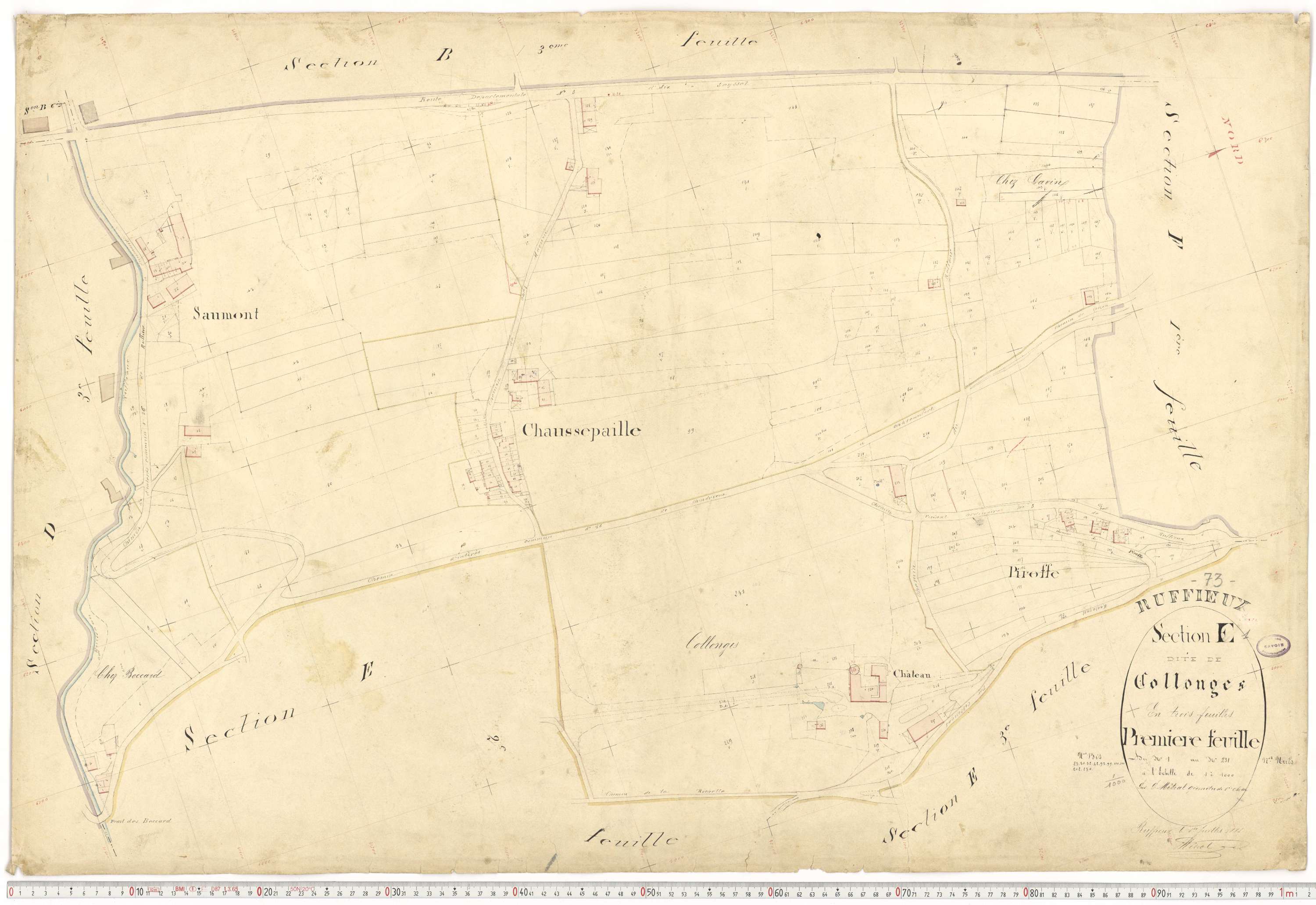 Ruffieux - Cadastre français (1881).