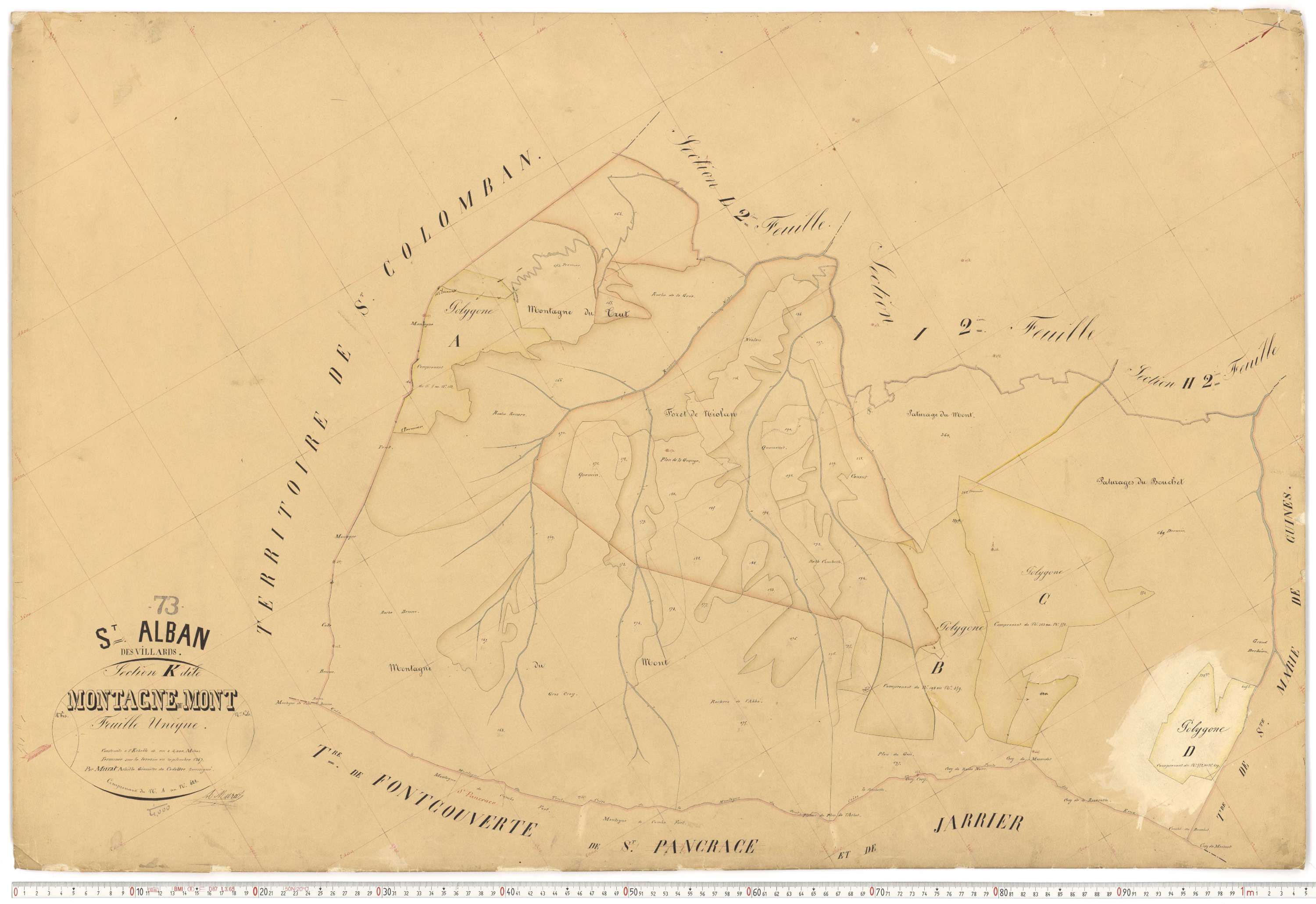 Saint-Alban-des-Villards - Plans cadastraux du premier cadastre français.