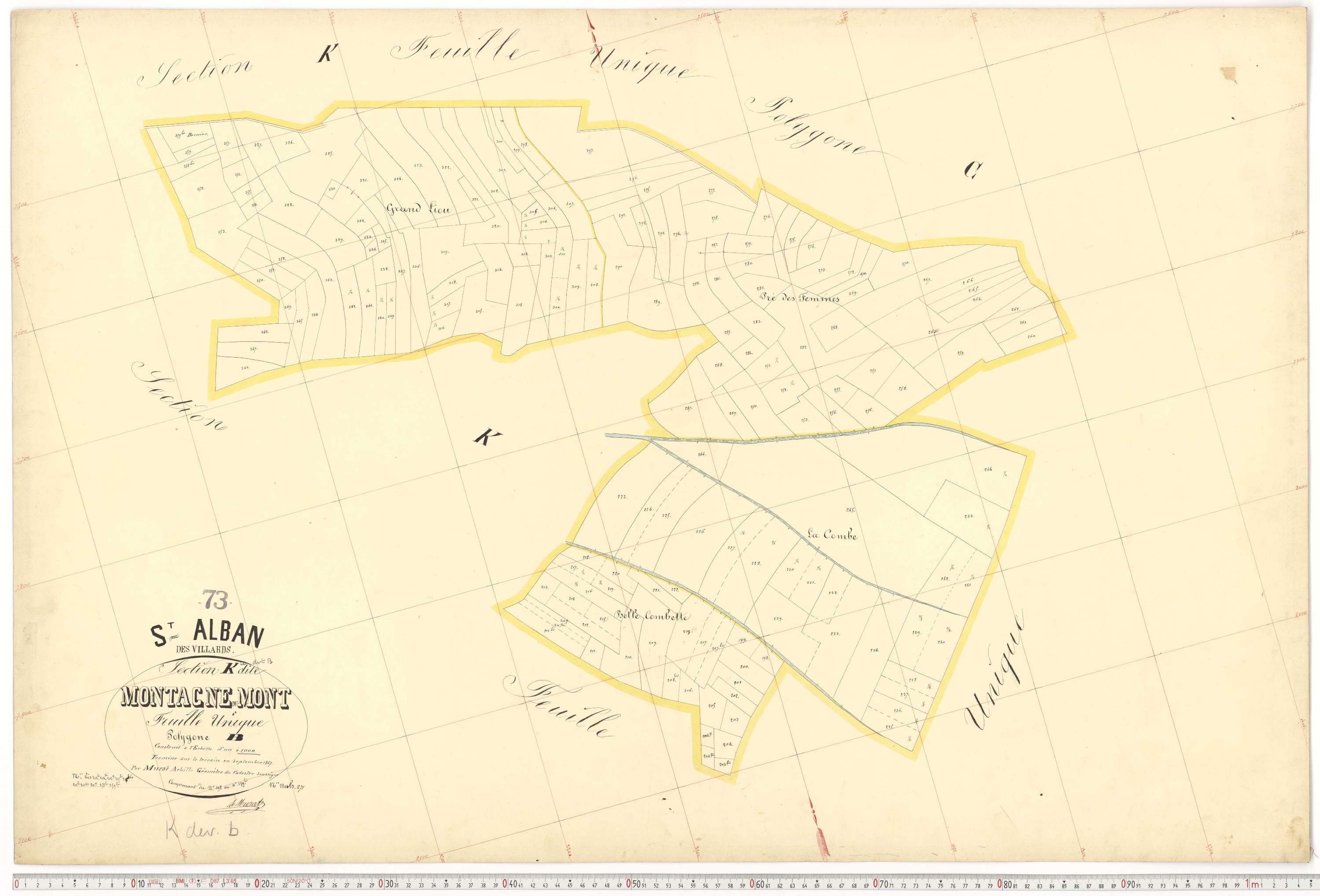 Saint-Alban-des-Villards - Plans cadastraux du premier cadastre français.