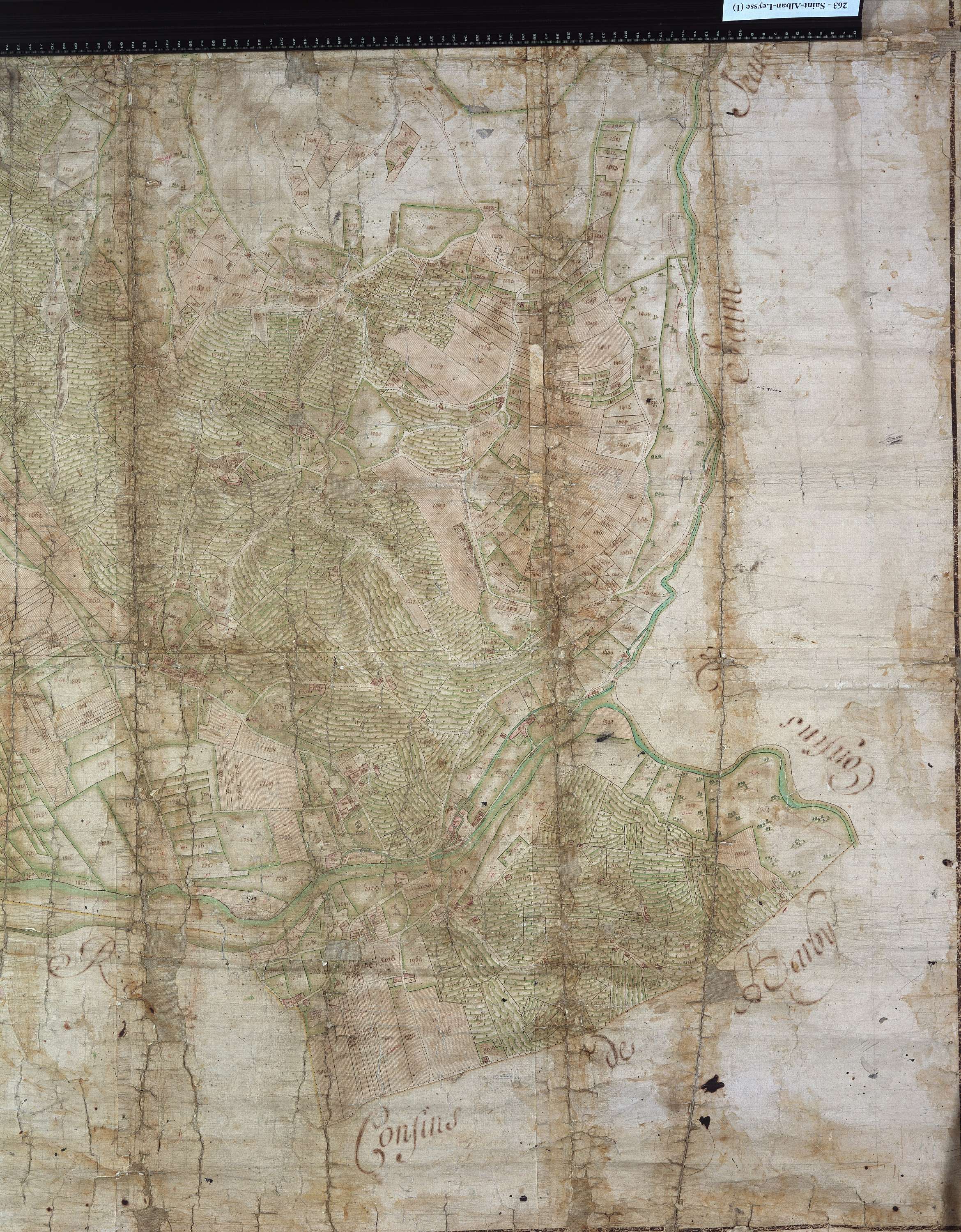 Saint-Alban-Leysse - Copie de la mappe originale (plan cadastral) de la commune de Saint-Alban près Chambéry. Signée Cocelli, directeur de la péréquation générale.