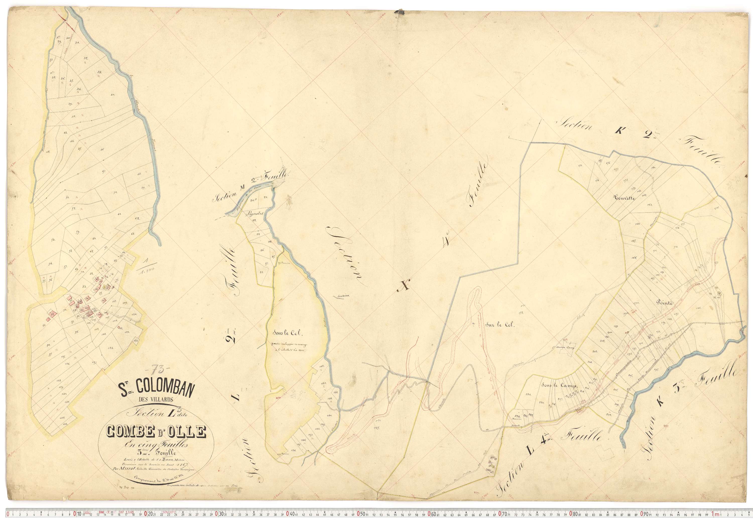 Saint-Colomban-des-Villards - Plans cadastraux du premier cadastre français.