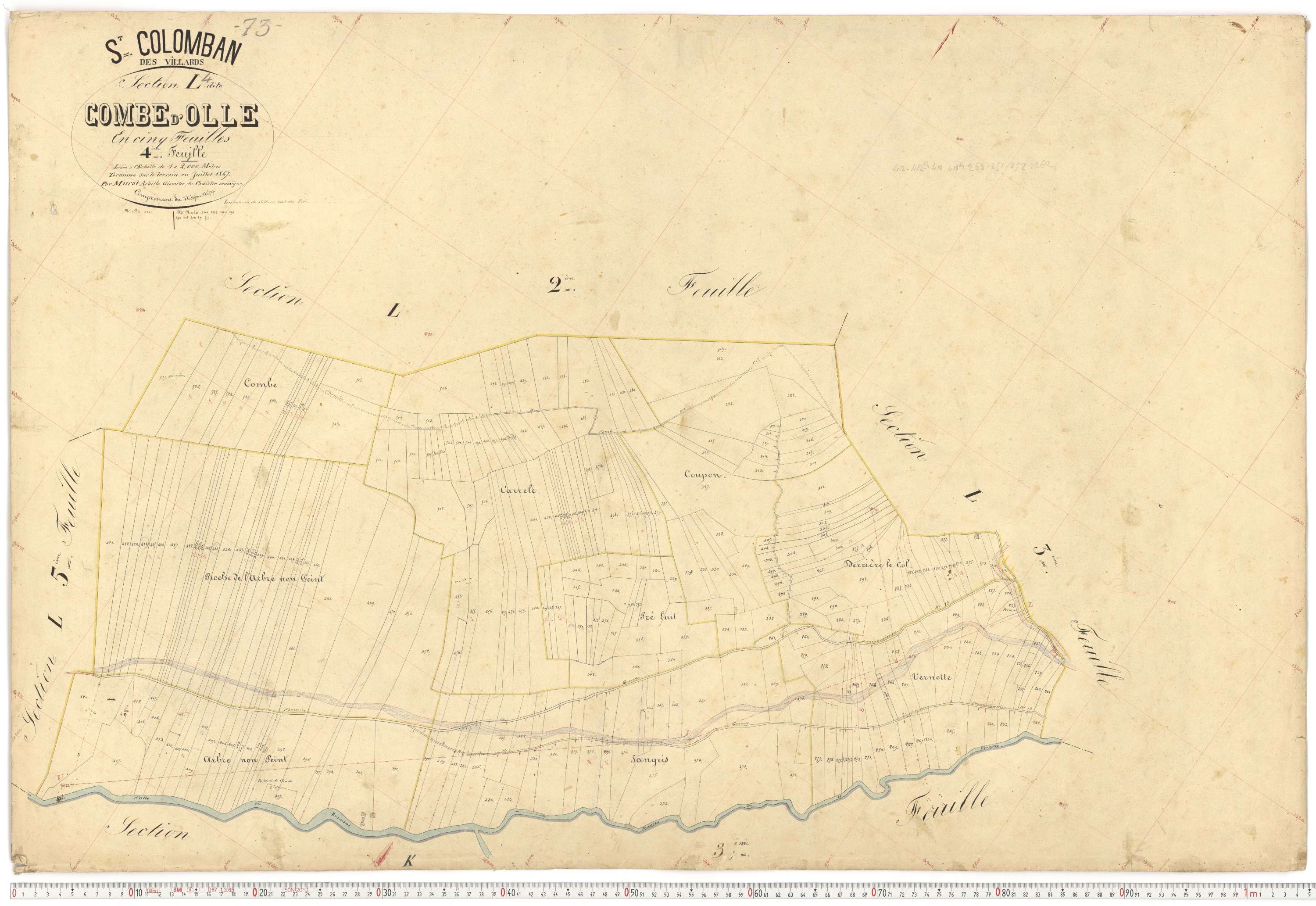 Saint-Colomban-des-Villards - Plans cadastraux du premier cadastre français.