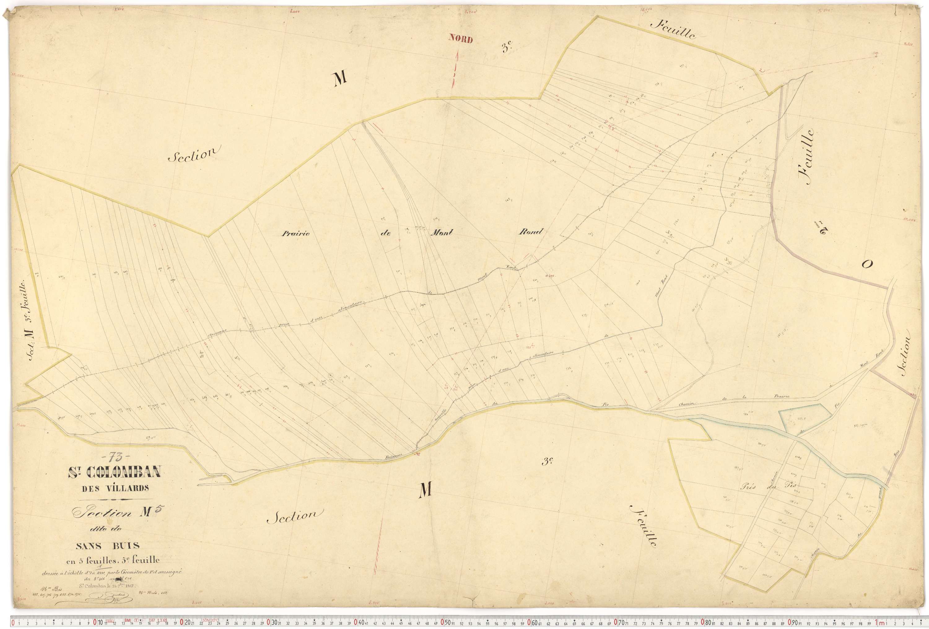 Saint-Colomban-des-Villards - Plans cadastraux du premier cadastre français.