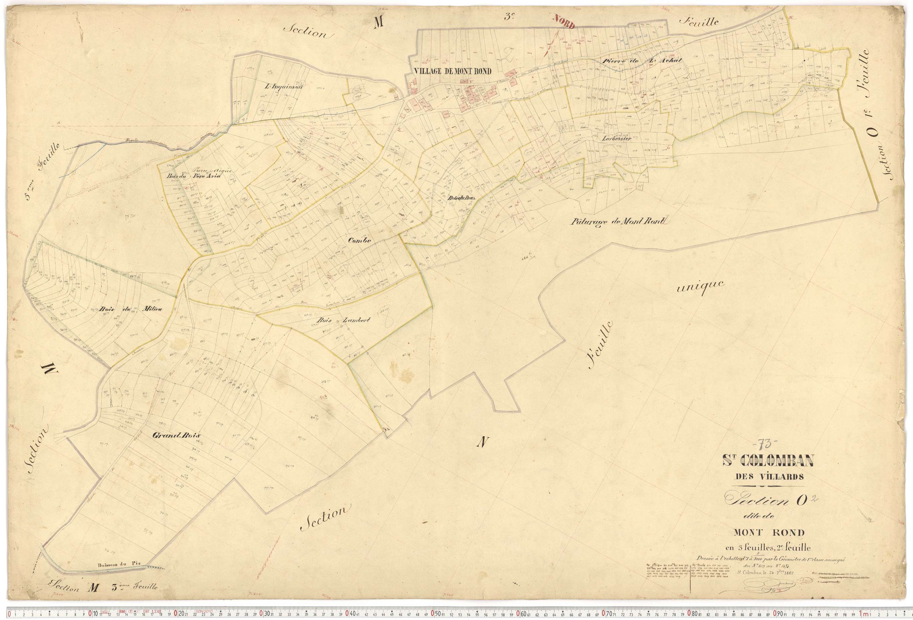 Saint-Colomban-des-Villards - Plans cadastraux du premier cadastre français.