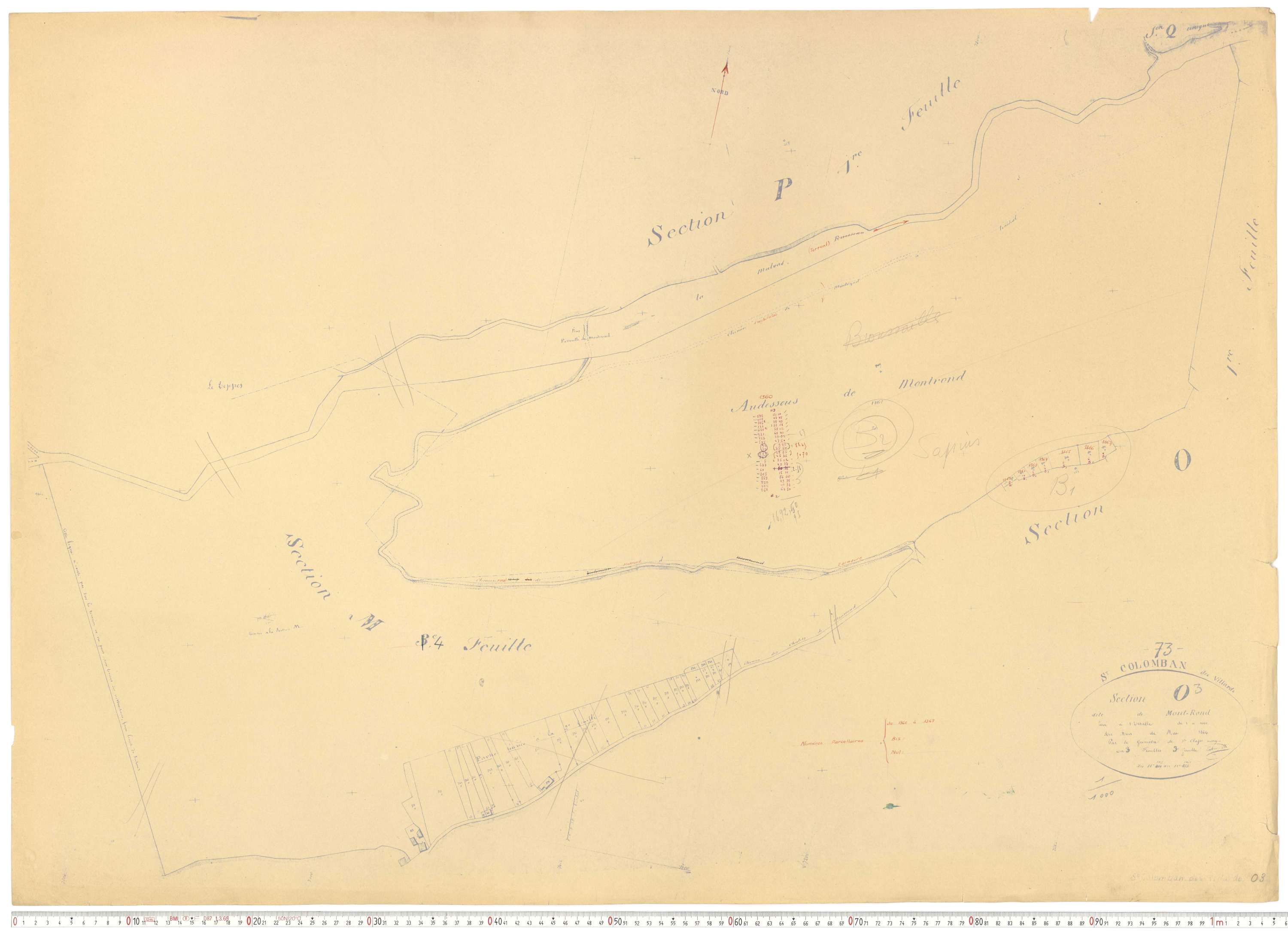 Saint-Colomban-des-Villards - Plans cadastraux du cadastre rénové.