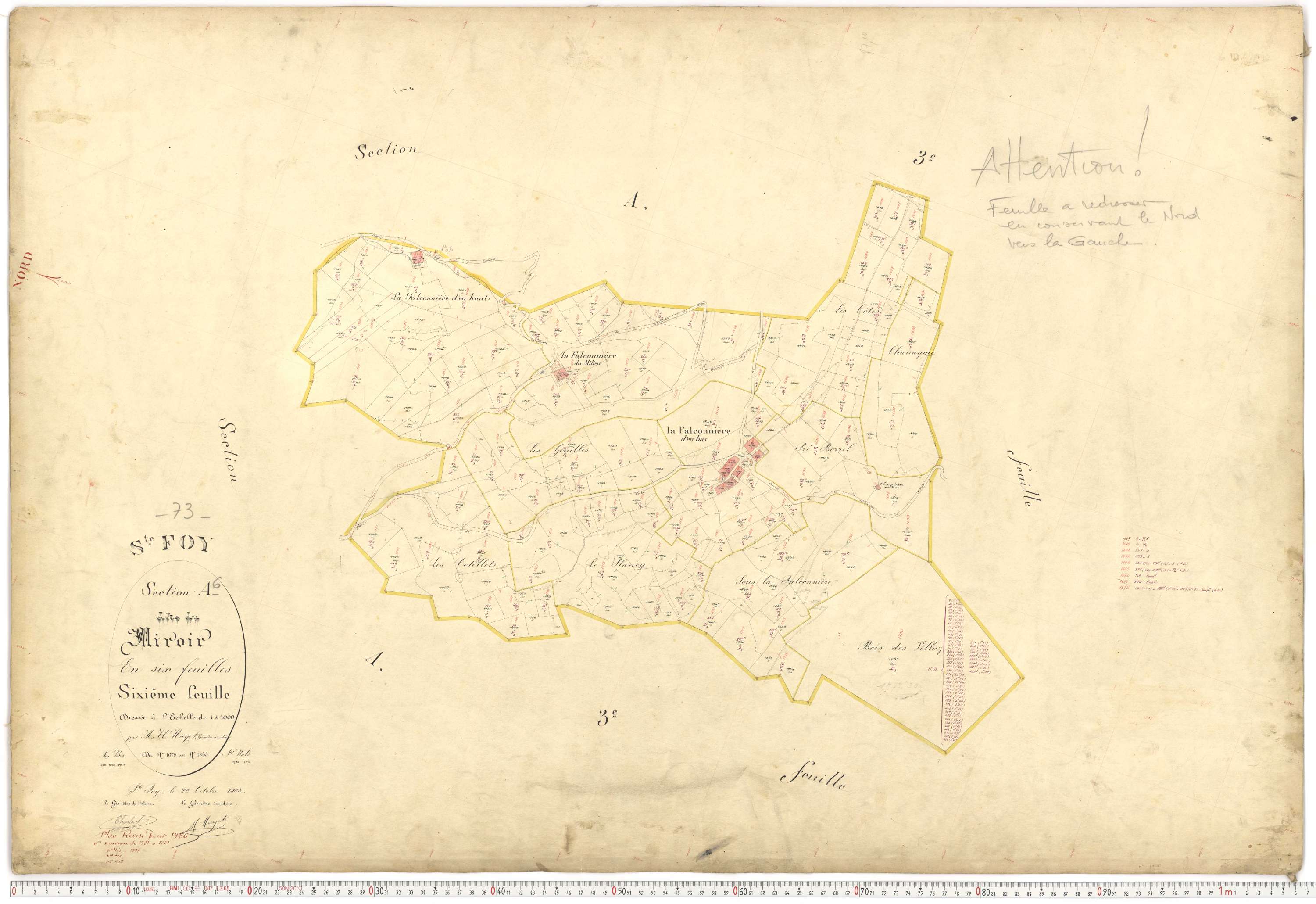 Sainte-Foy-Tarentaise - Plans cadastraux du premier cadastre français.