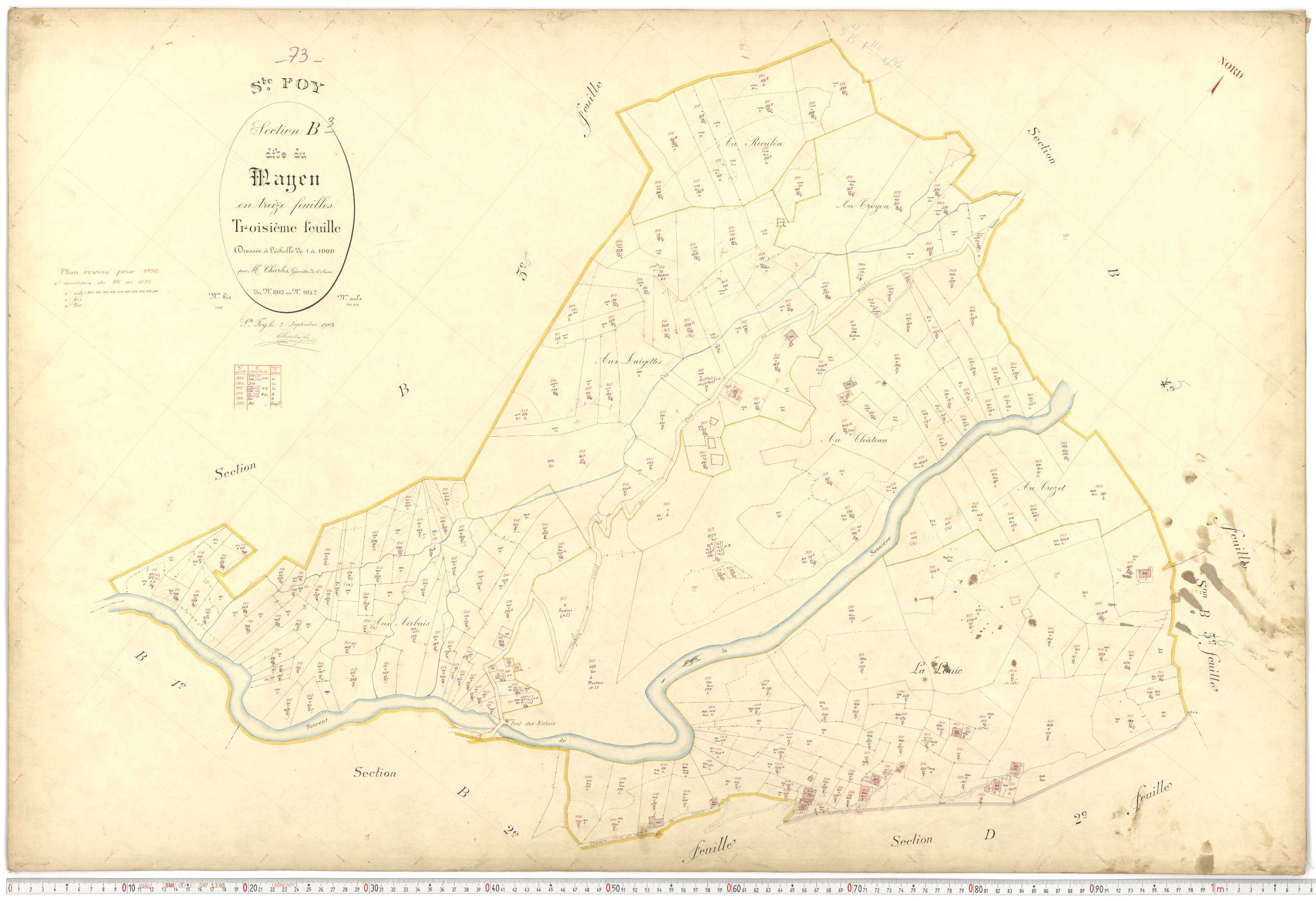 Sainte-Foy-Tarentaise - Plans cadastraux du premier cadastre français.