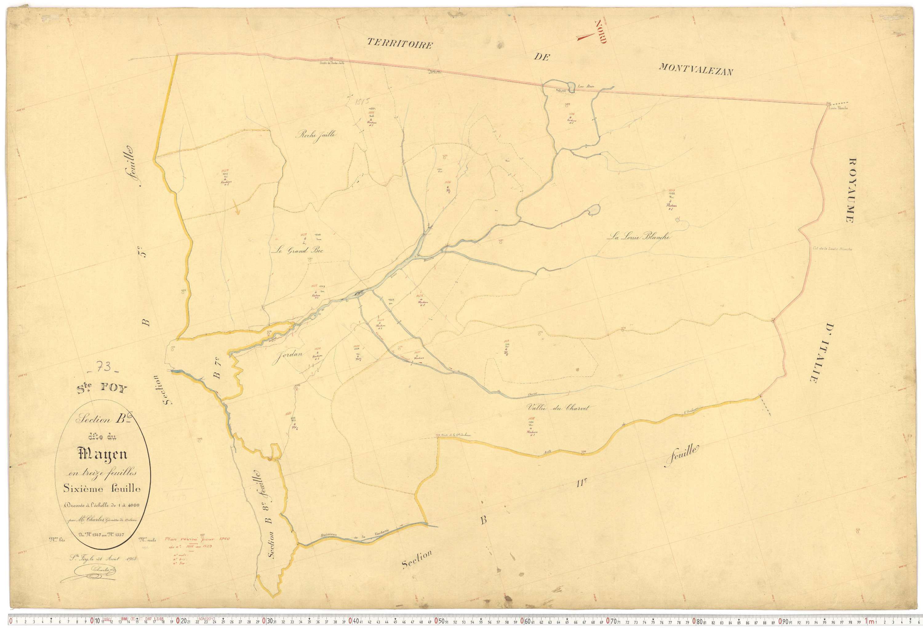 Sainte-Foy-Tarentaise - Plans cadastraux du premier cadastre français.