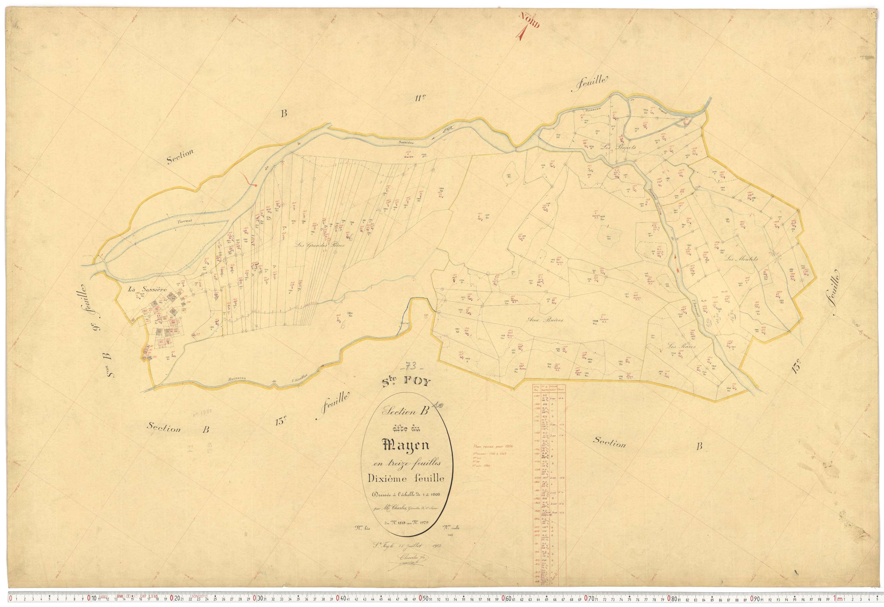 Sainte-Foy-Tarentaise - Plans cadastraux du premier cadastre français.