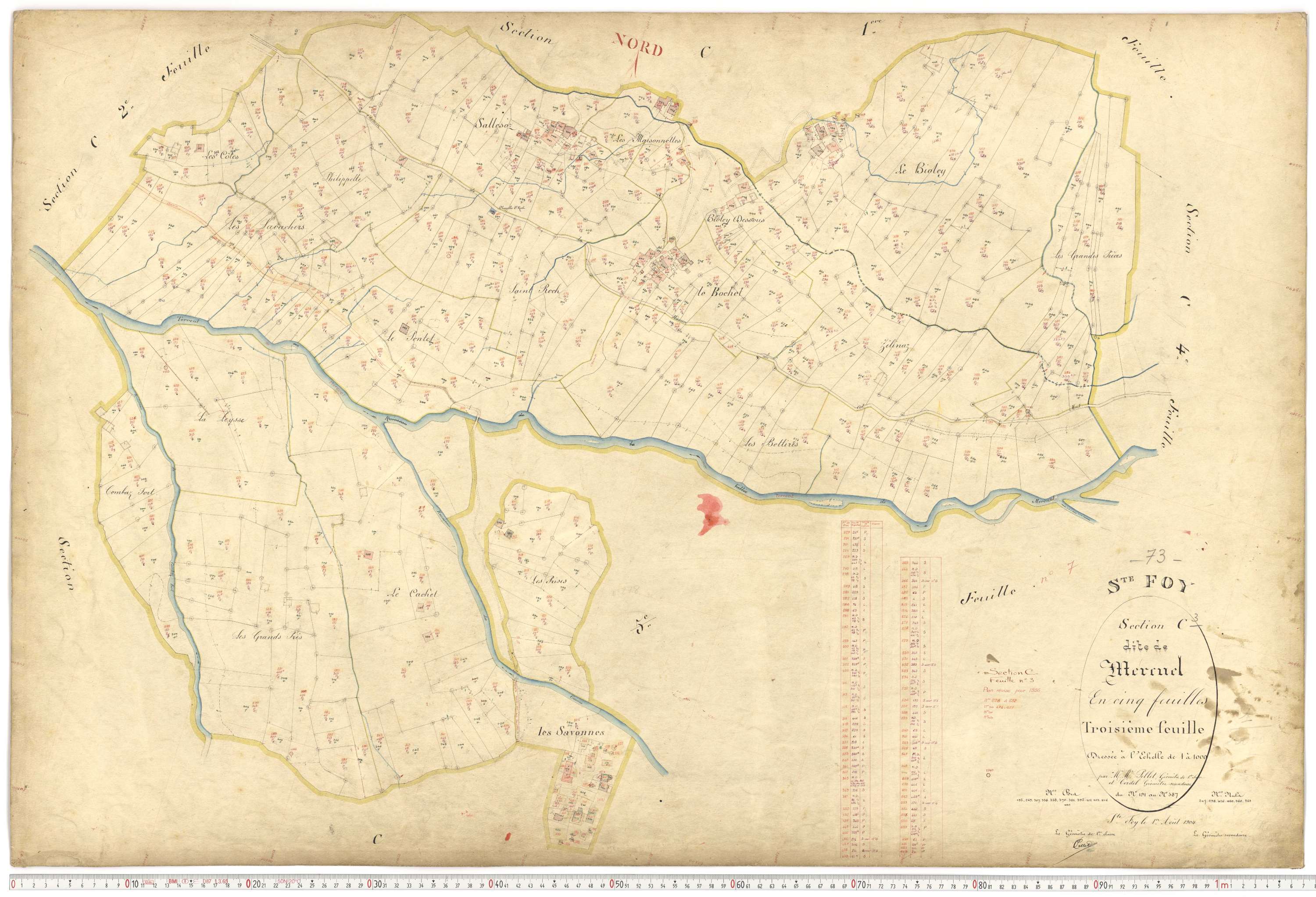 Sainte-Foy-Tarentaise - Plans cadastraux du premier cadastre français.