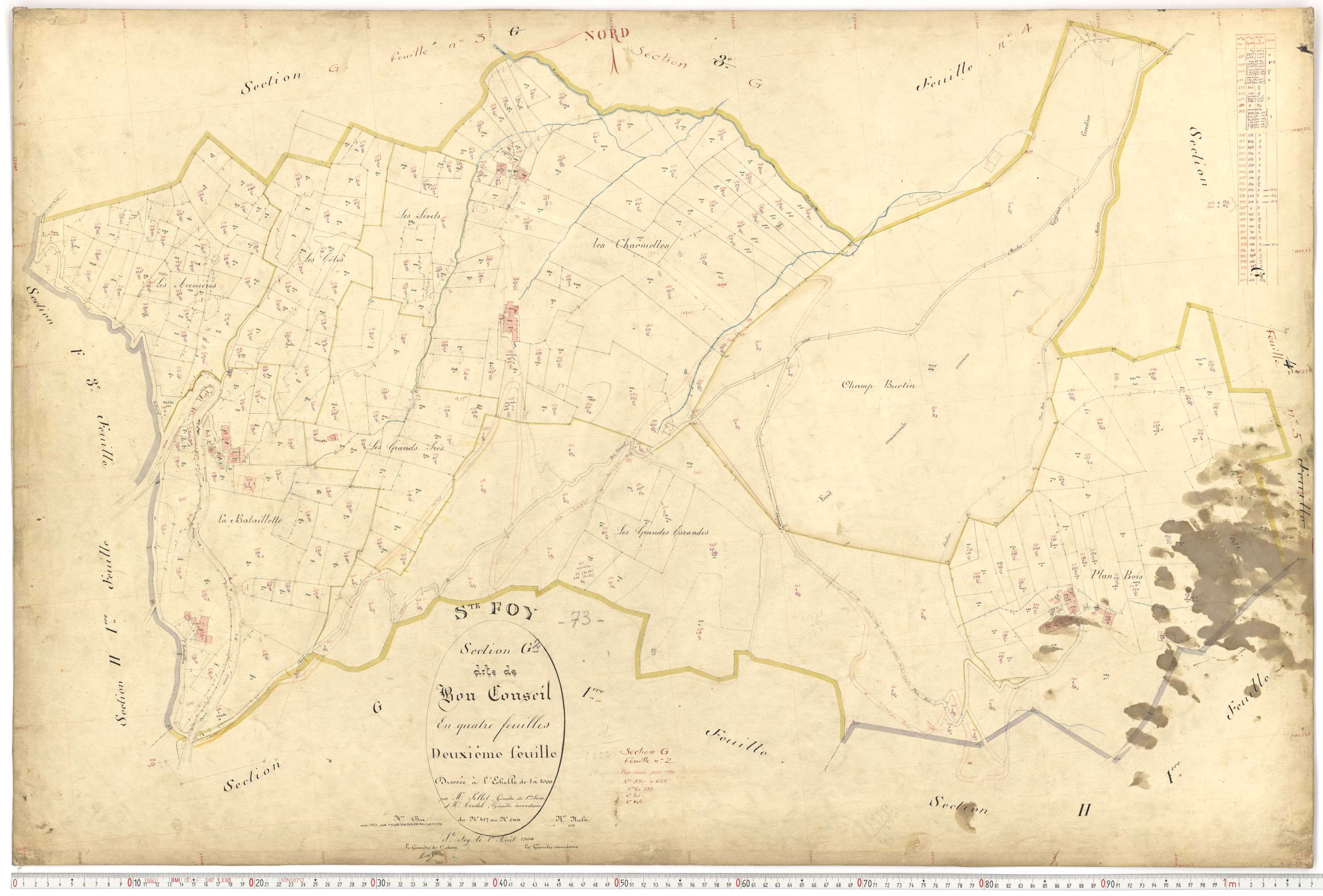 Sainte-Foy-Tarentaise - Plans cadastraux du premier cadastre français.
