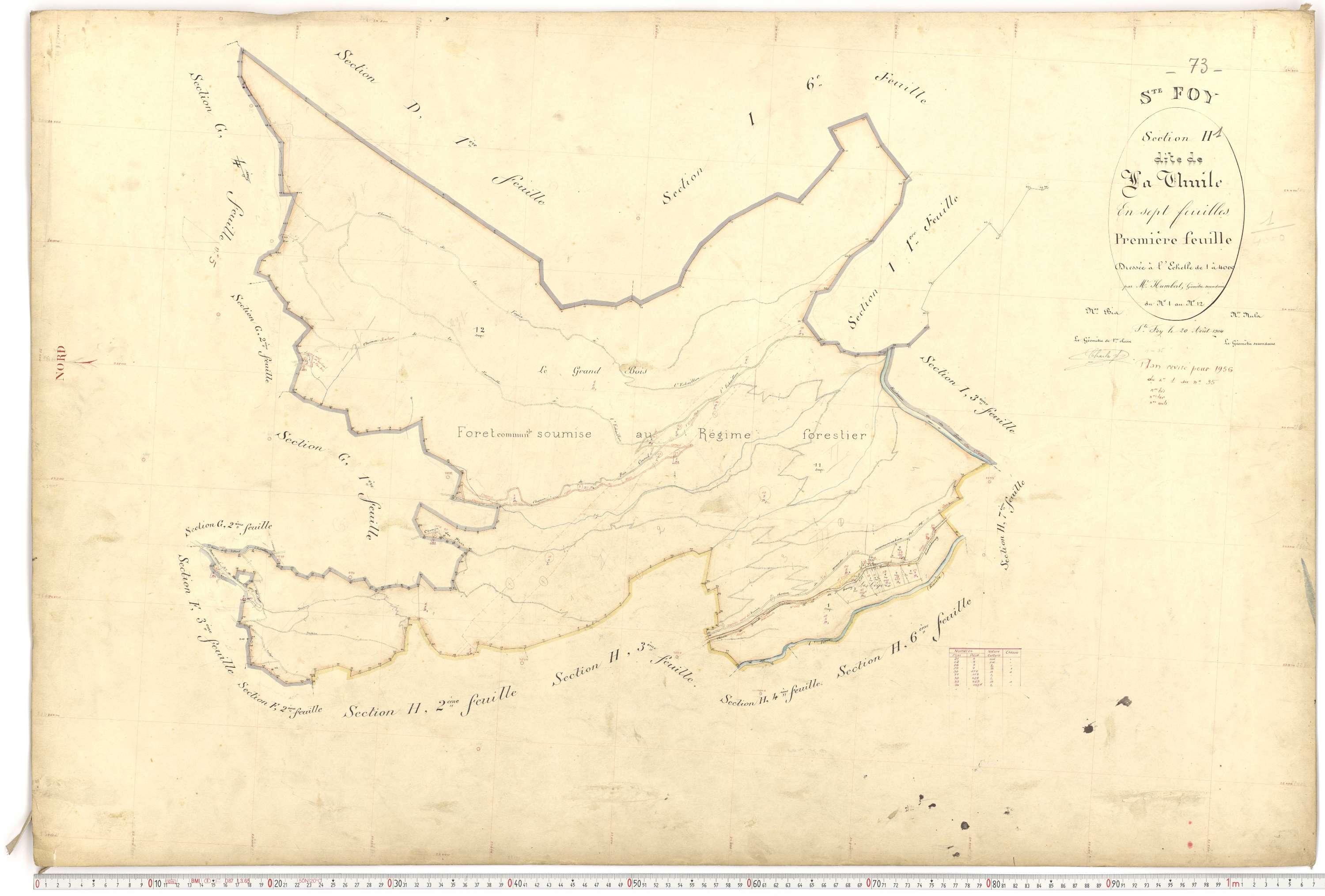 Sainte-Foy-Tarentaise - Plans cadastraux du premier cadastre français.