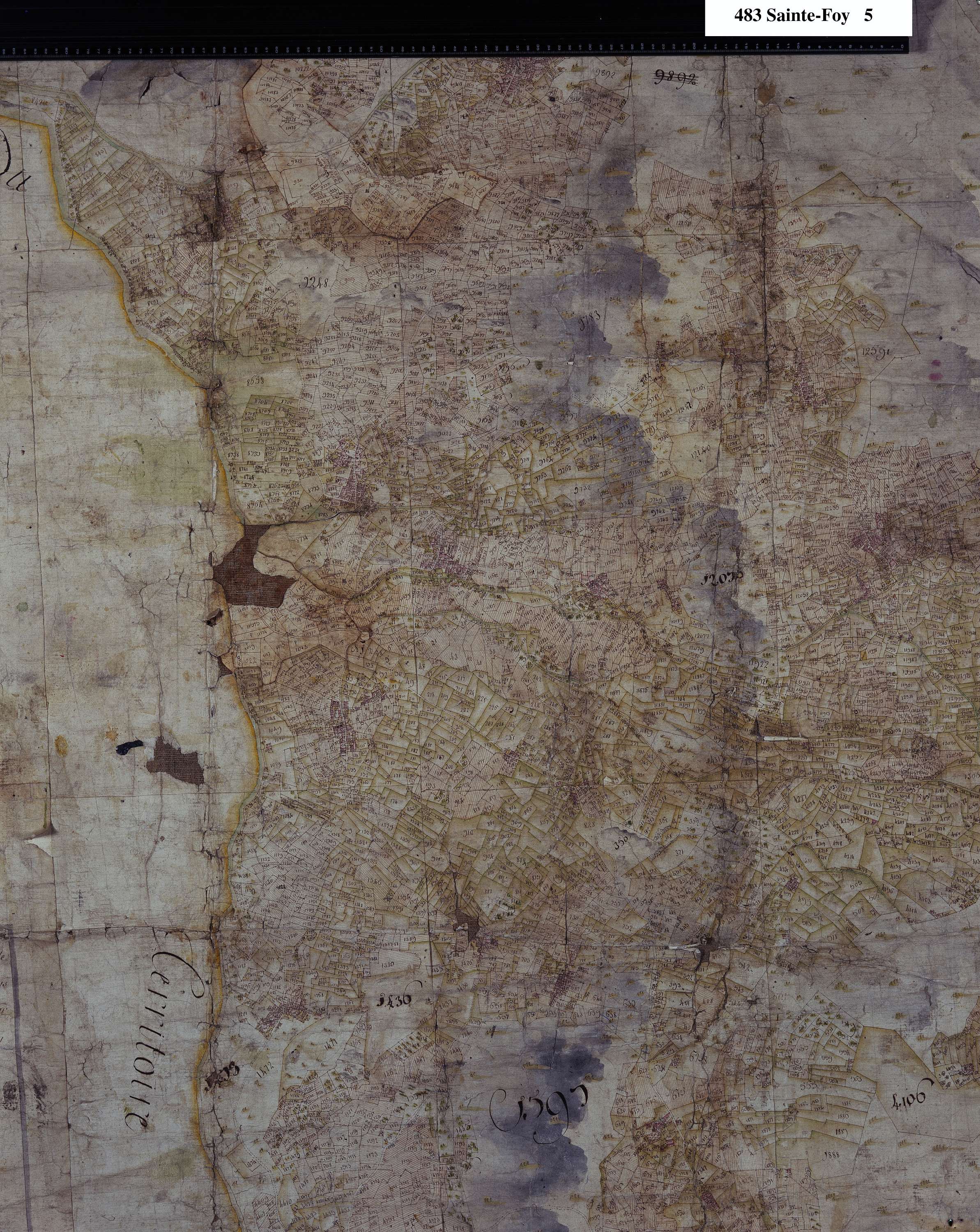 Sainte-Foy-Tarentaise - Copie de la mappe originale (plan cadastral) de la commune de Sainte-Foy. Signée Cocelli, directeur de la péréquation.