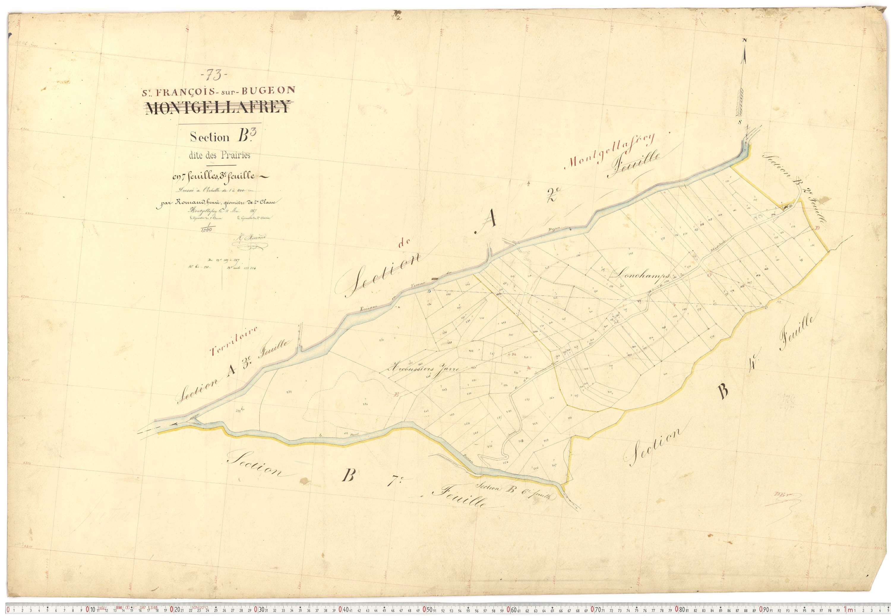 Saint-François-Longchamp - Plans cadastraux du premier cadastre français.