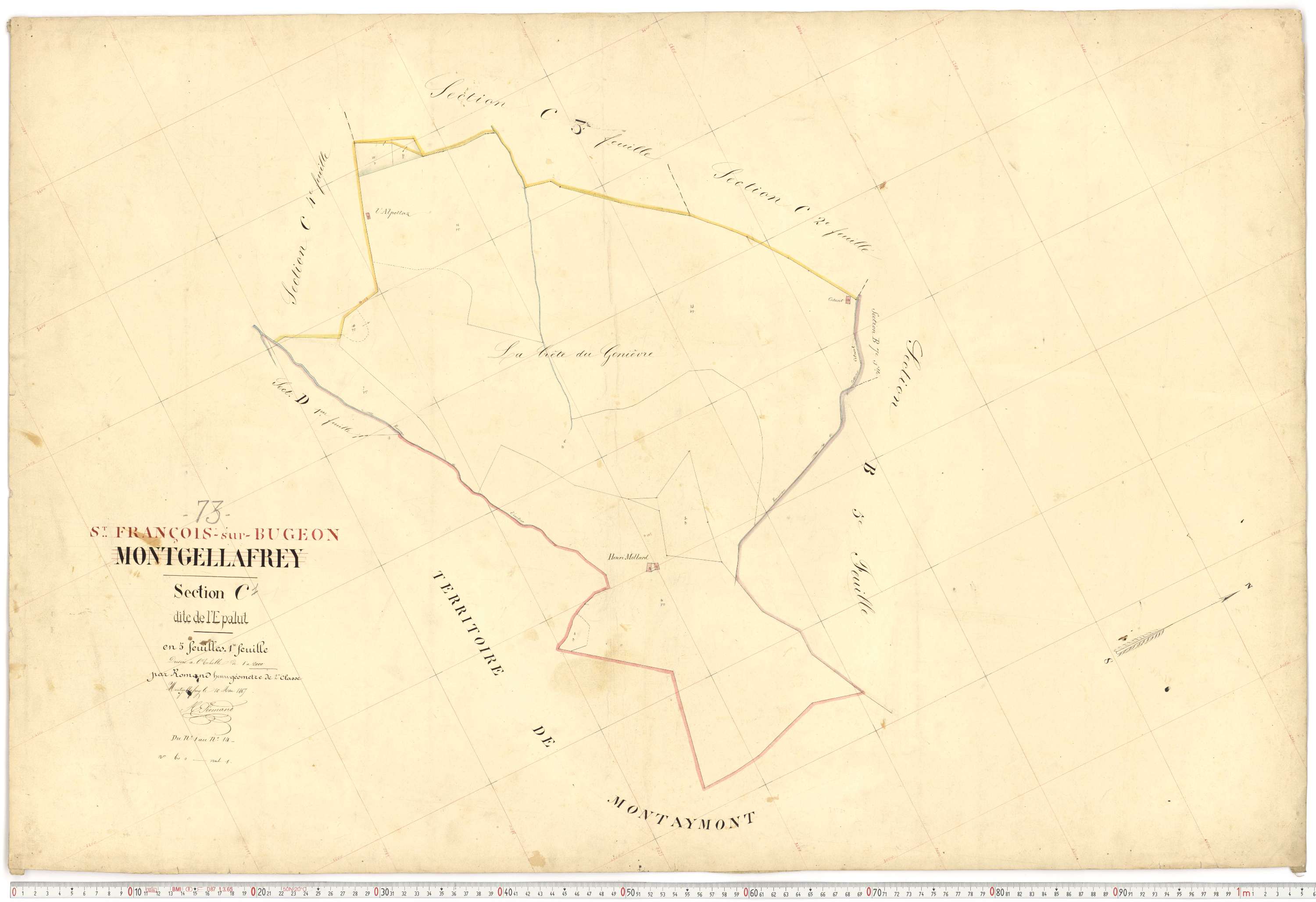 Saint-François-Longchamp - Plans cadastraux du premier cadastre français.