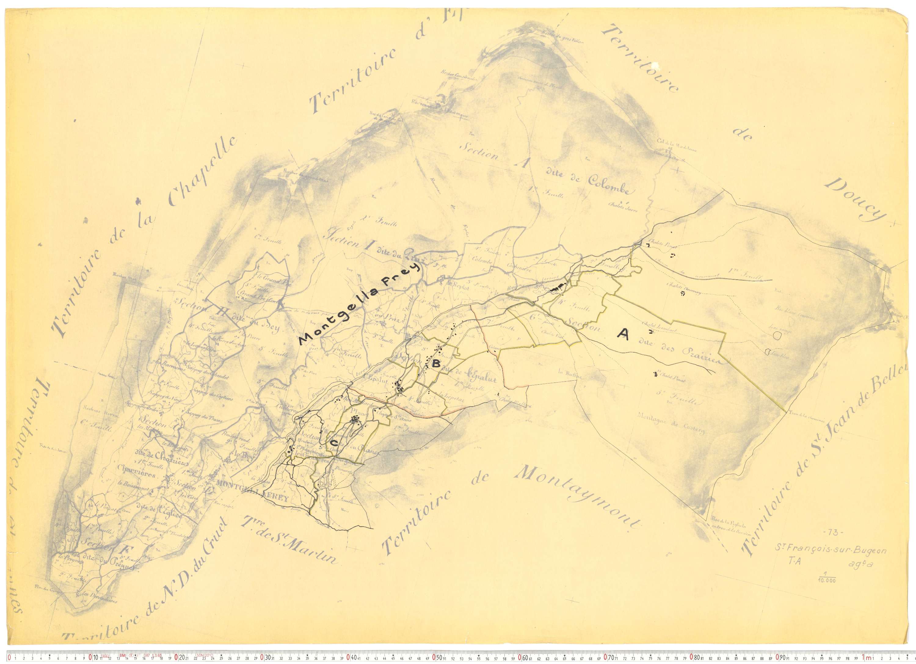 Saint-François-Longchamp - Plans cadastraux du cadastre rénové.